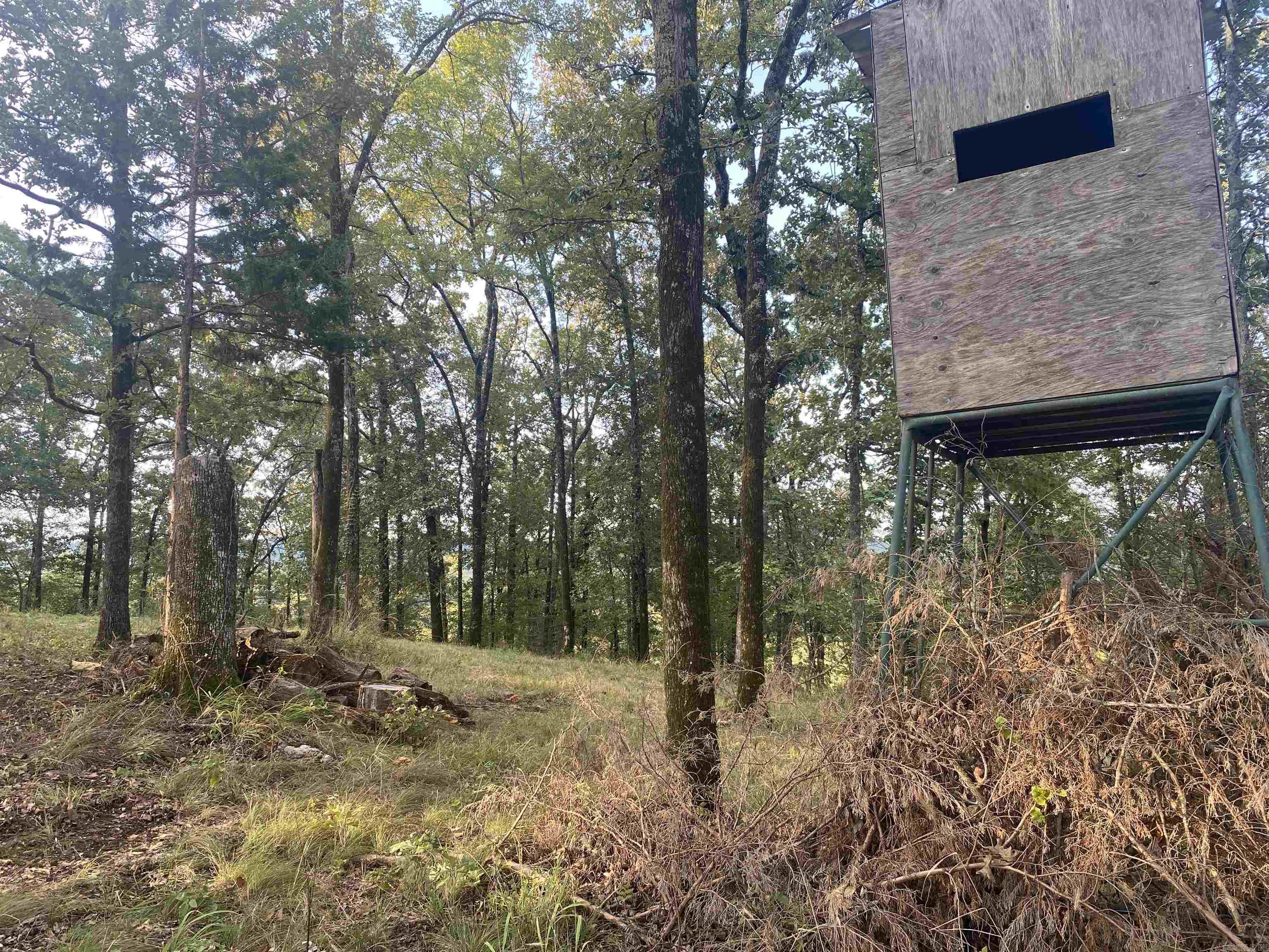 2076 Bob Hall  Donaldson, AR