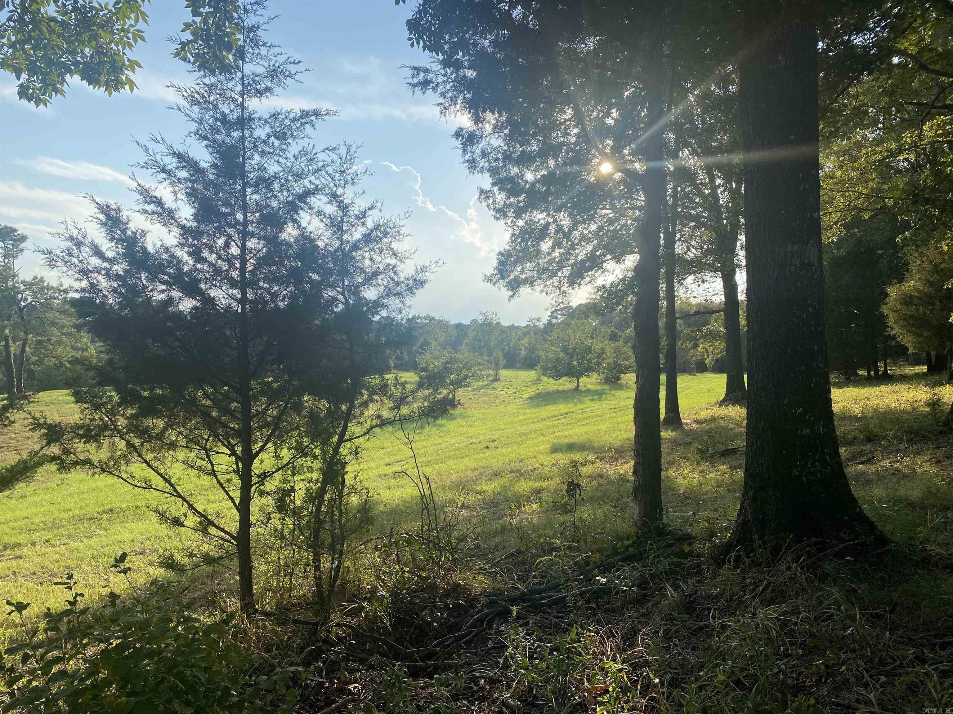 2076 Bob Hall  Donaldson, AR