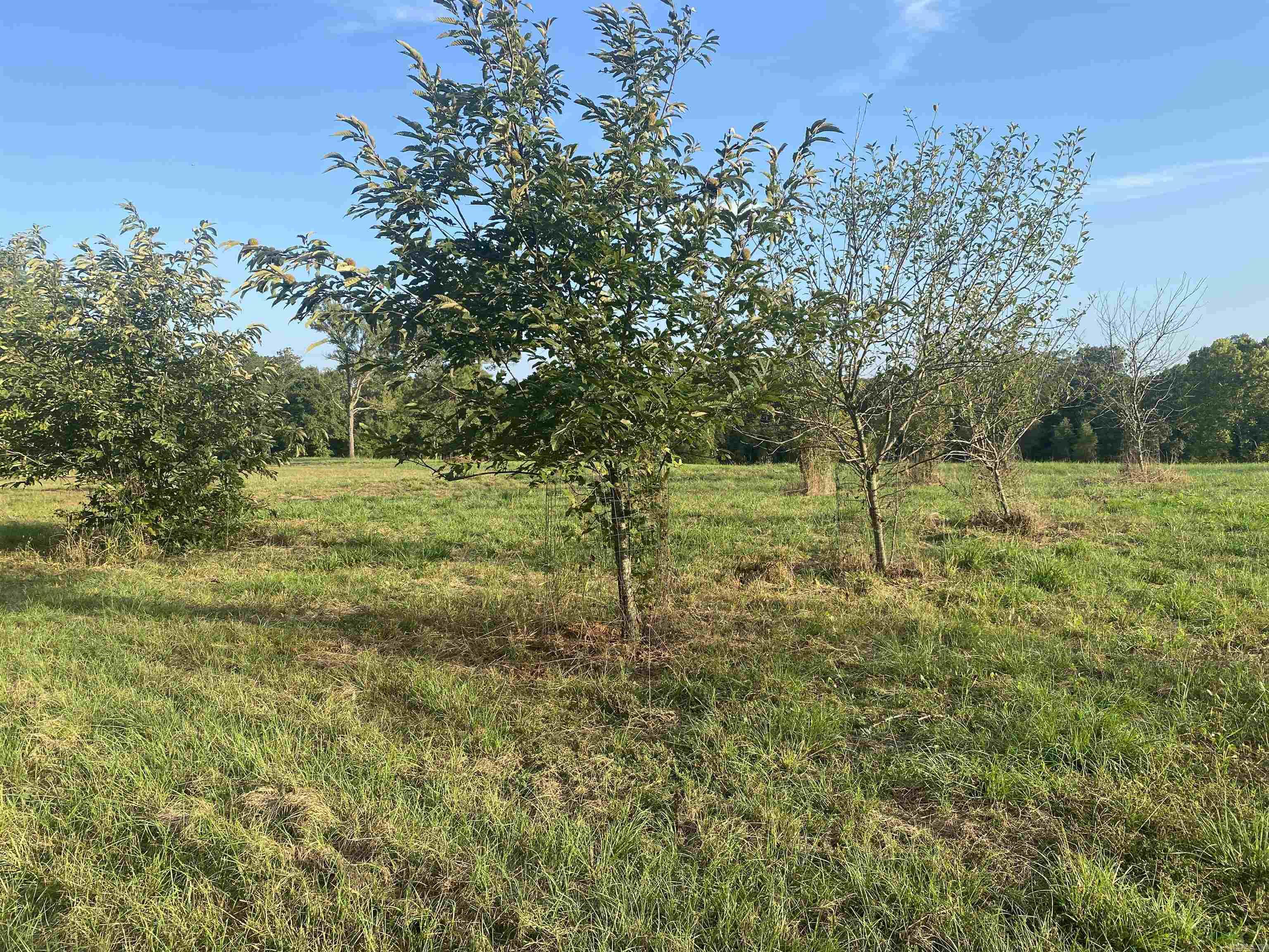 2076 Bob Hall  Donaldson, AR
