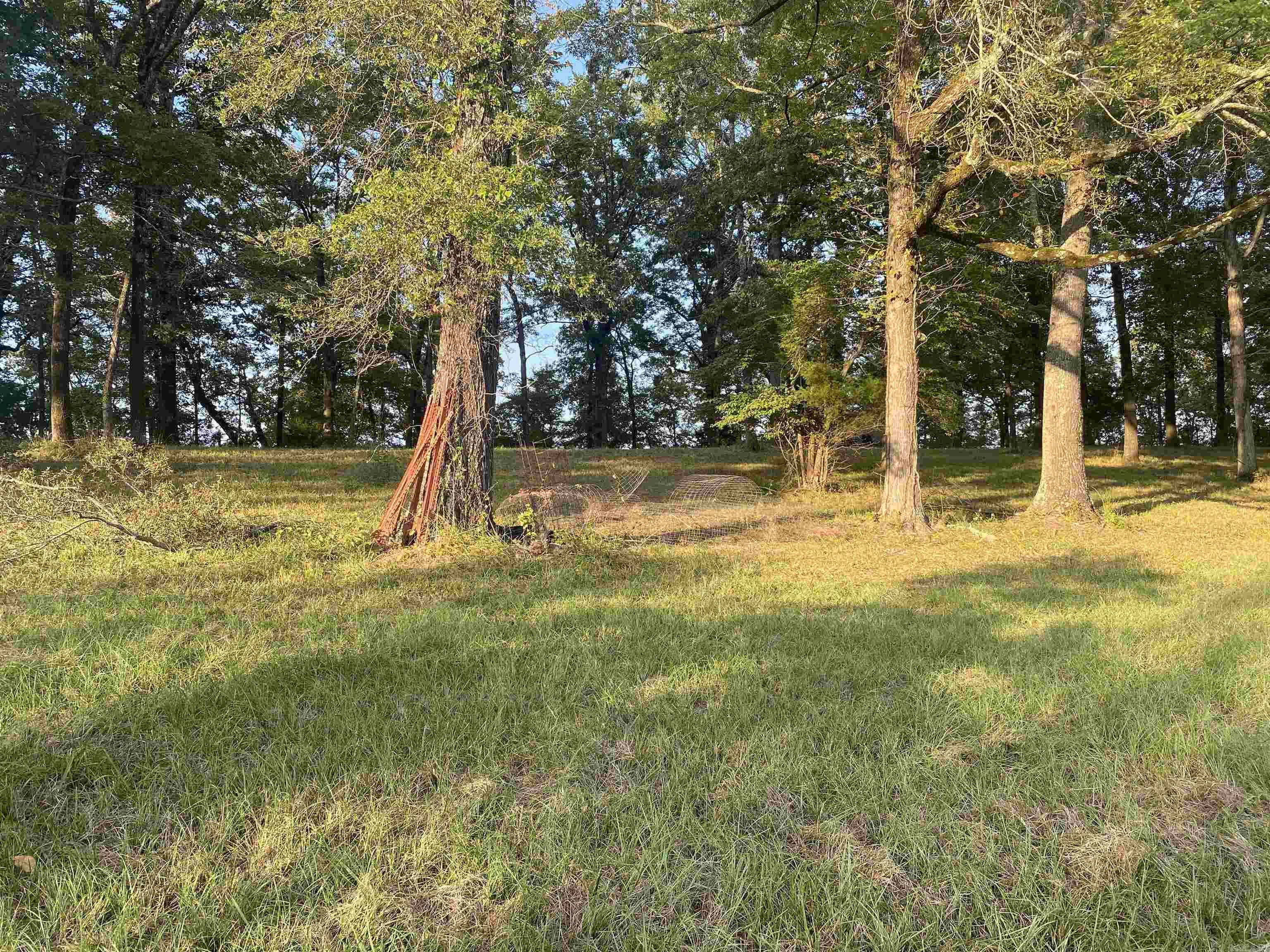2076 Bob Hall  Donaldson, AR