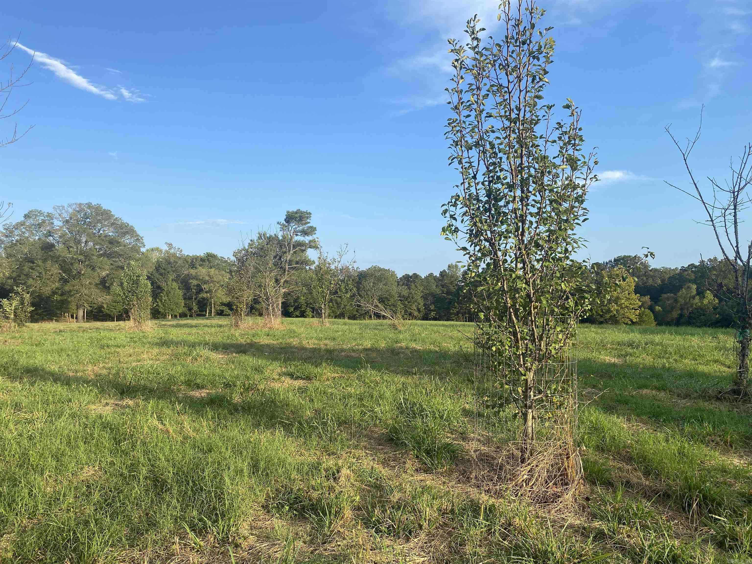 2076 Bob Hall  Donaldson, AR