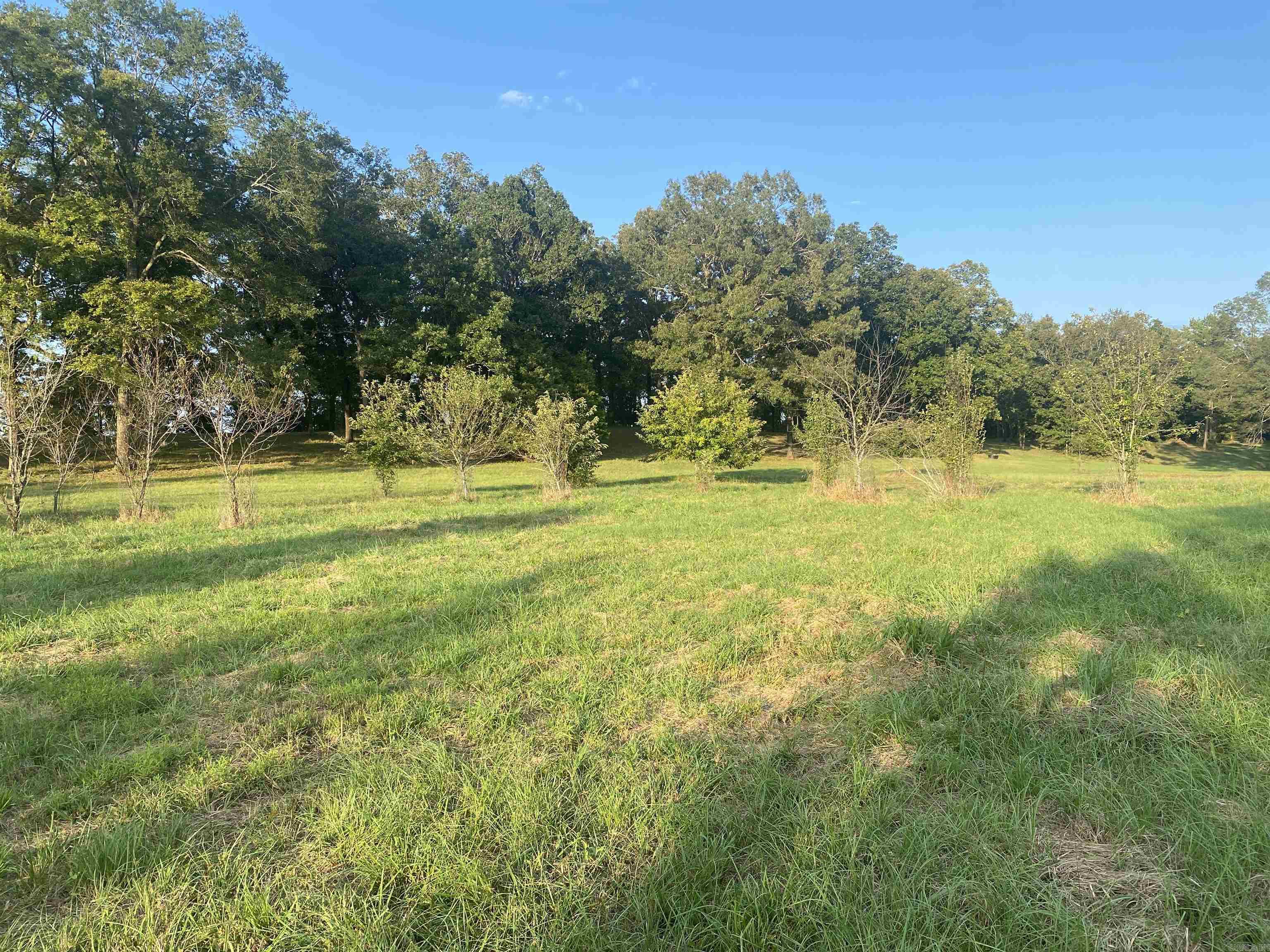 2076 Bob Hall  Donaldson, AR