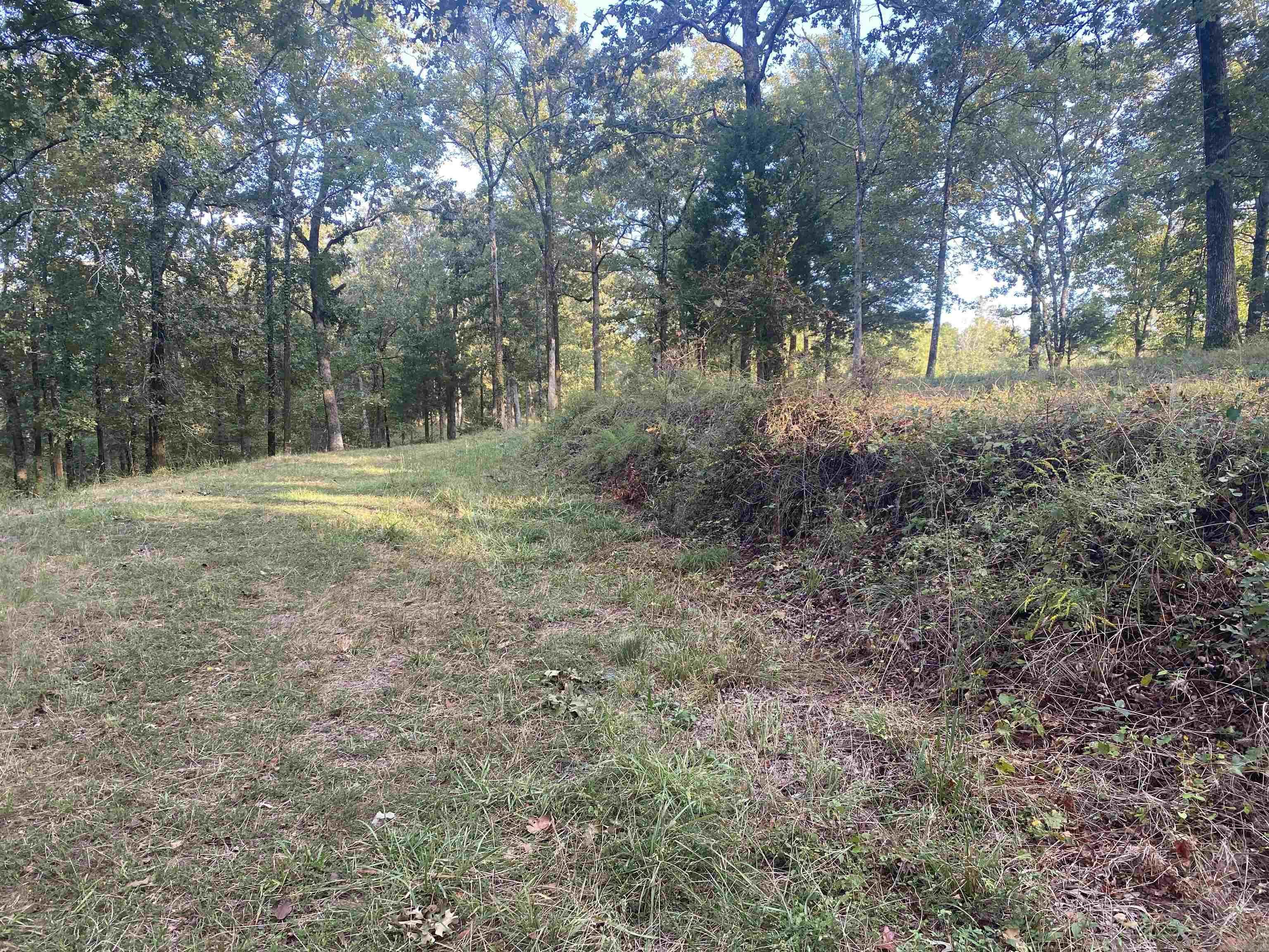 2076 Bob Hall  Donaldson, AR