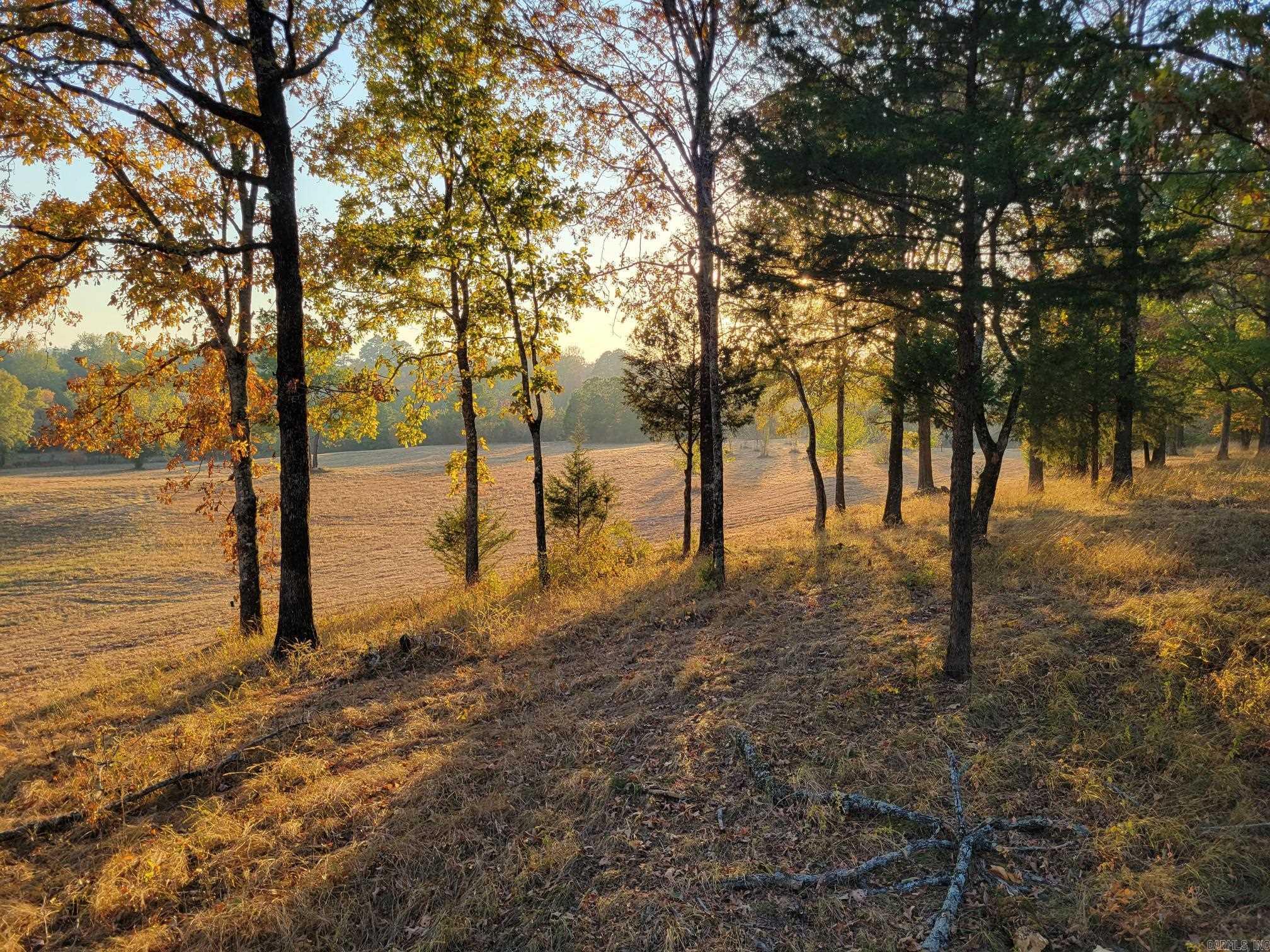 2076 Bob Hall  Donaldson, AR