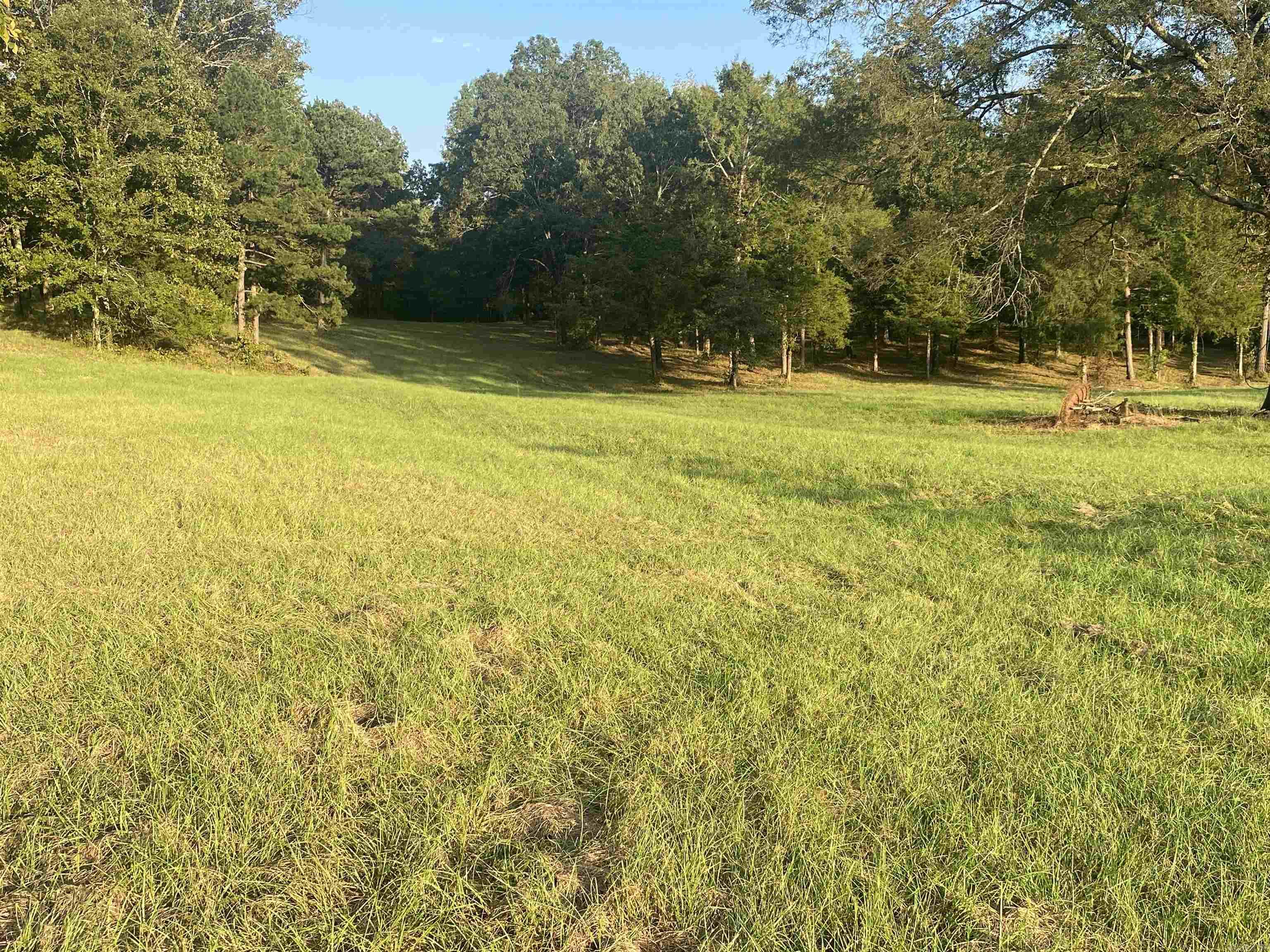 2076 Bob Hall  Donaldson, AR