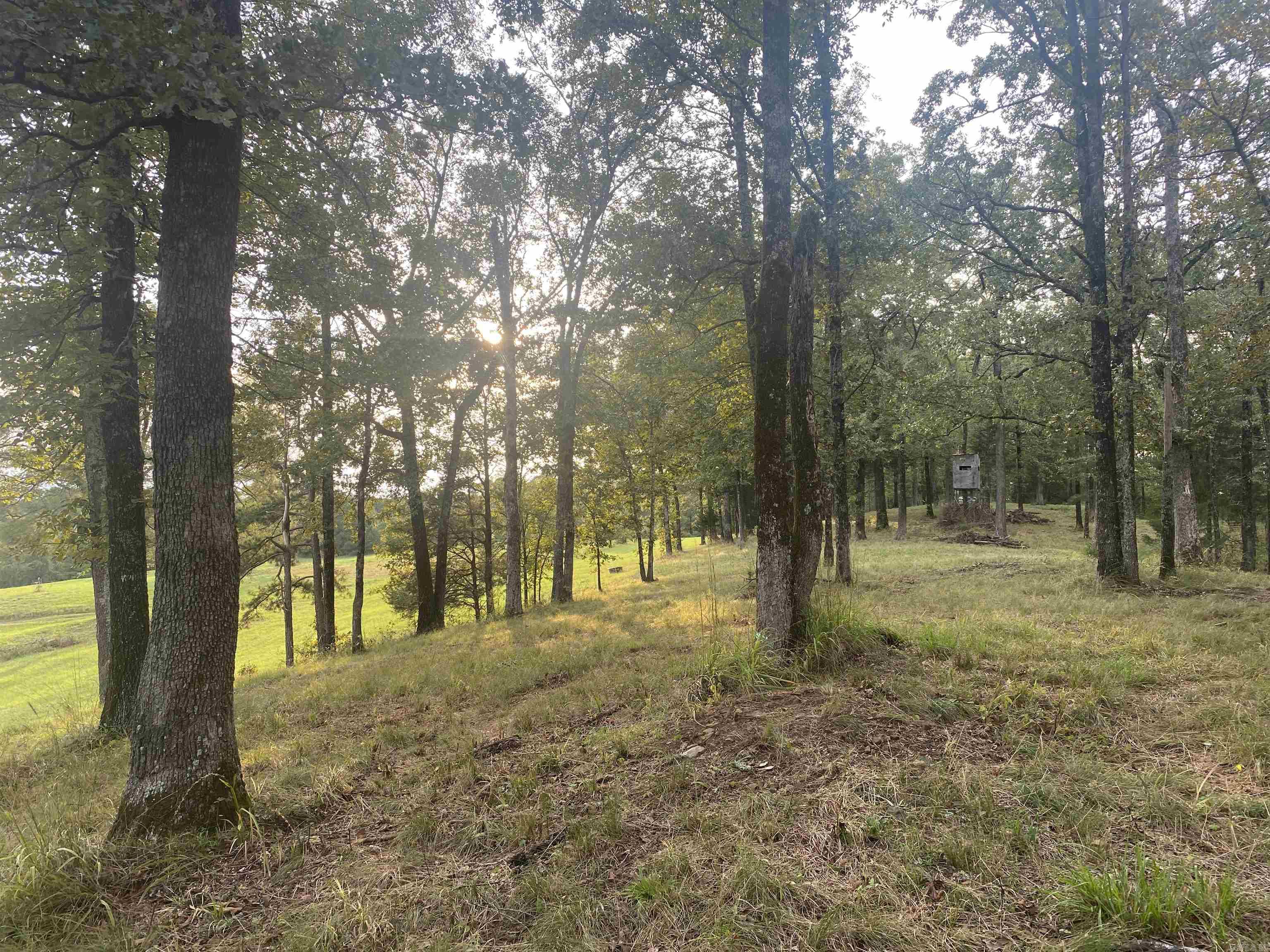 2076 Bob Hall  Donaldson, AR