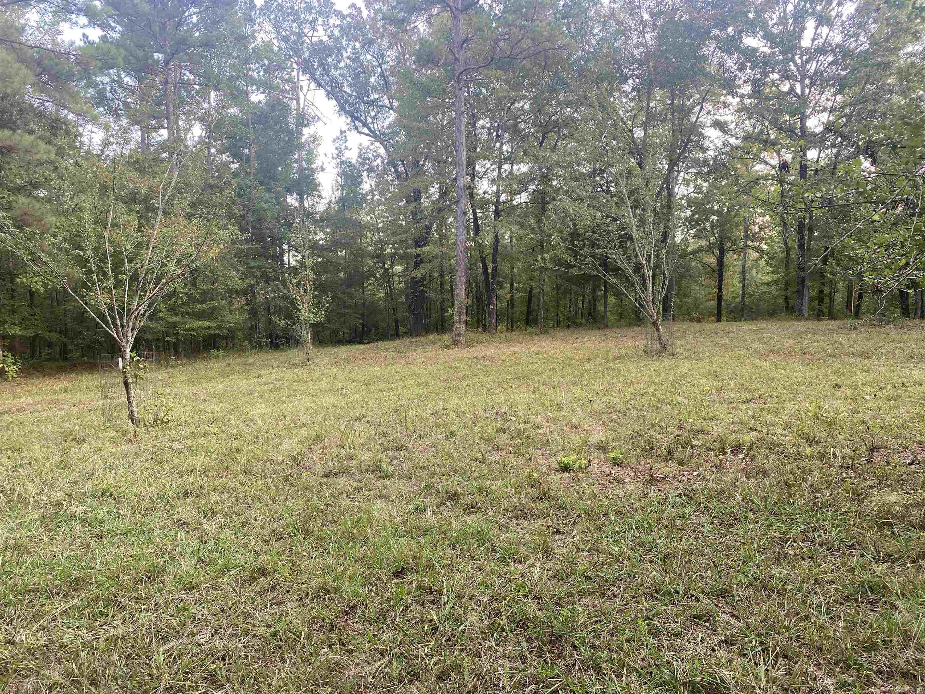 2076 Bob Hall  Donaldson, AR