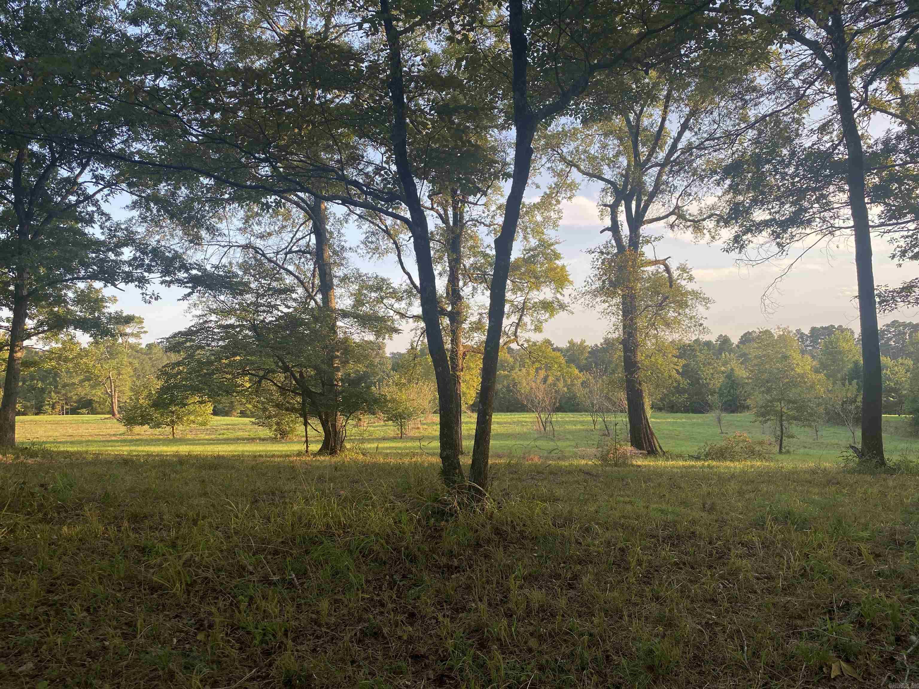 2076 Bob Hall  Donaldson, AR
