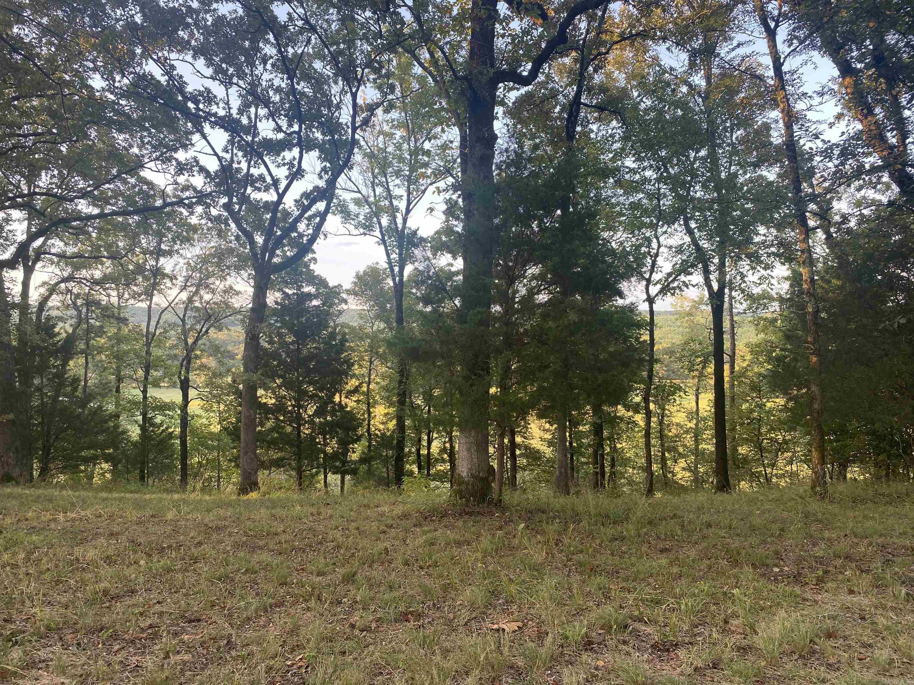 2076 Bob Hall  Donaldson, AR