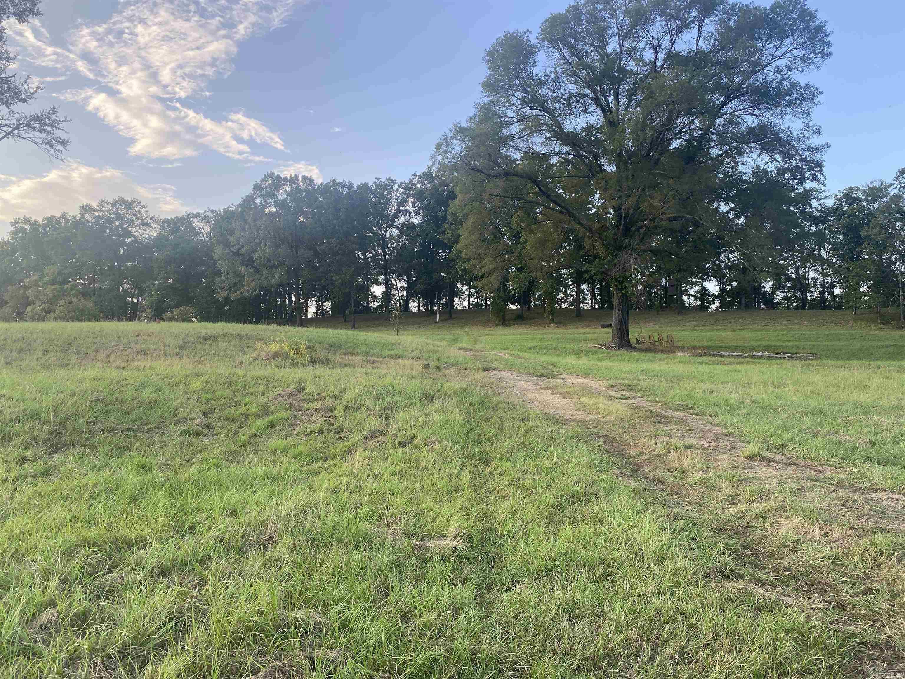 2076 Bob Hall  Donaldson, AR