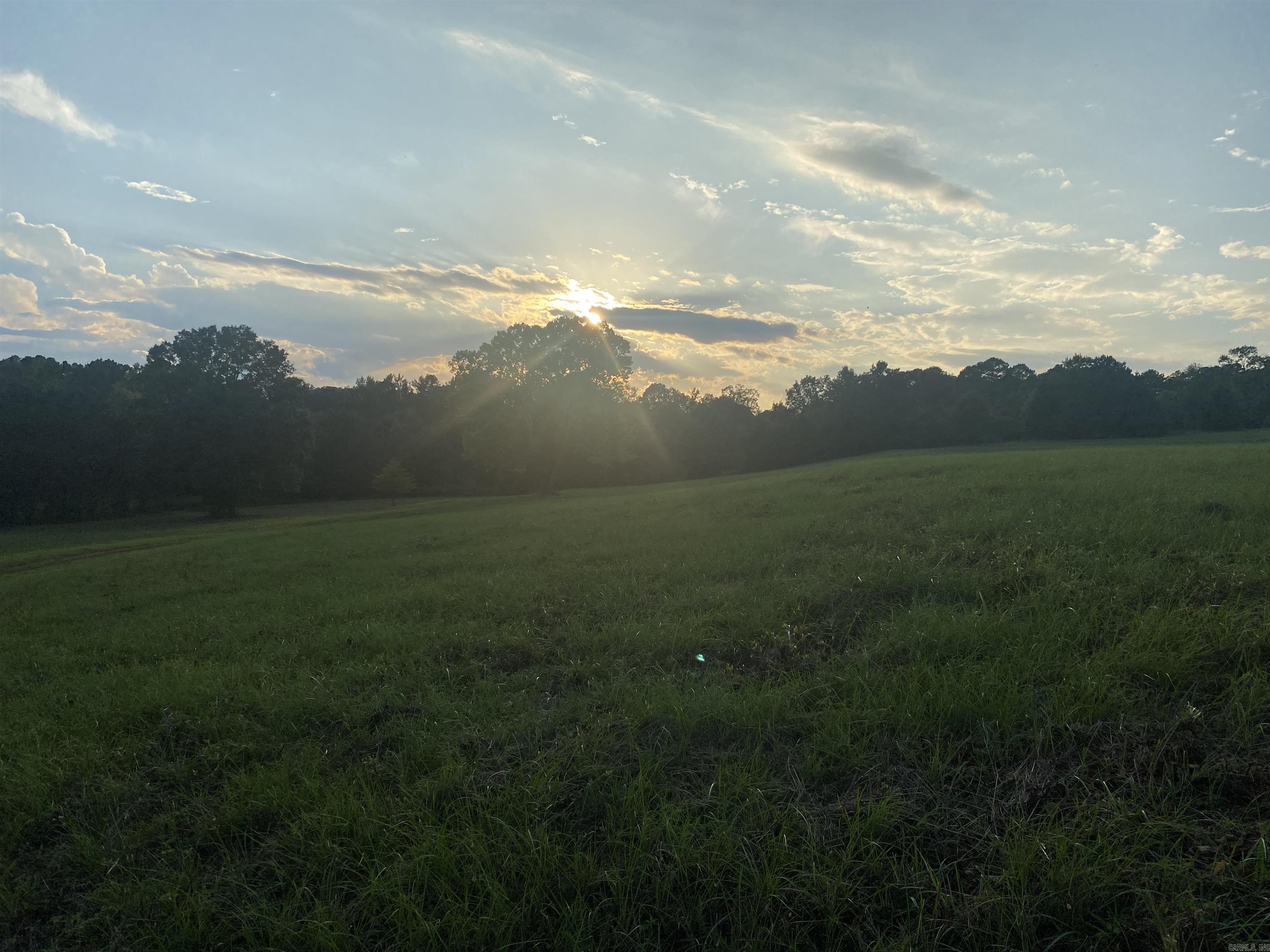 2076 Bob Hall  Donaldson, AR