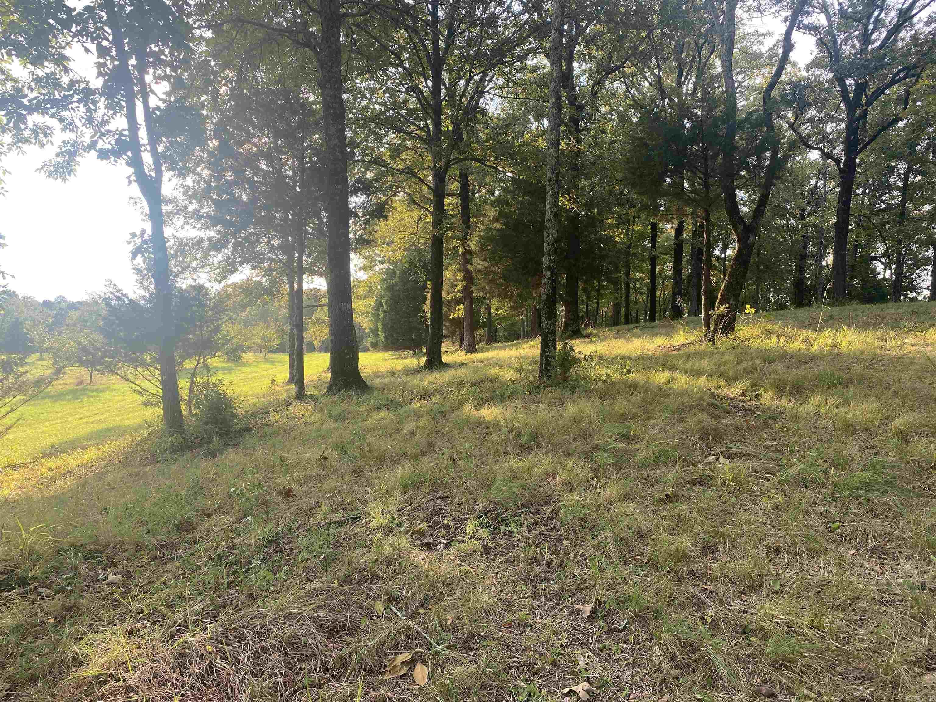 2076 Bob Hall  Donaldson, AR