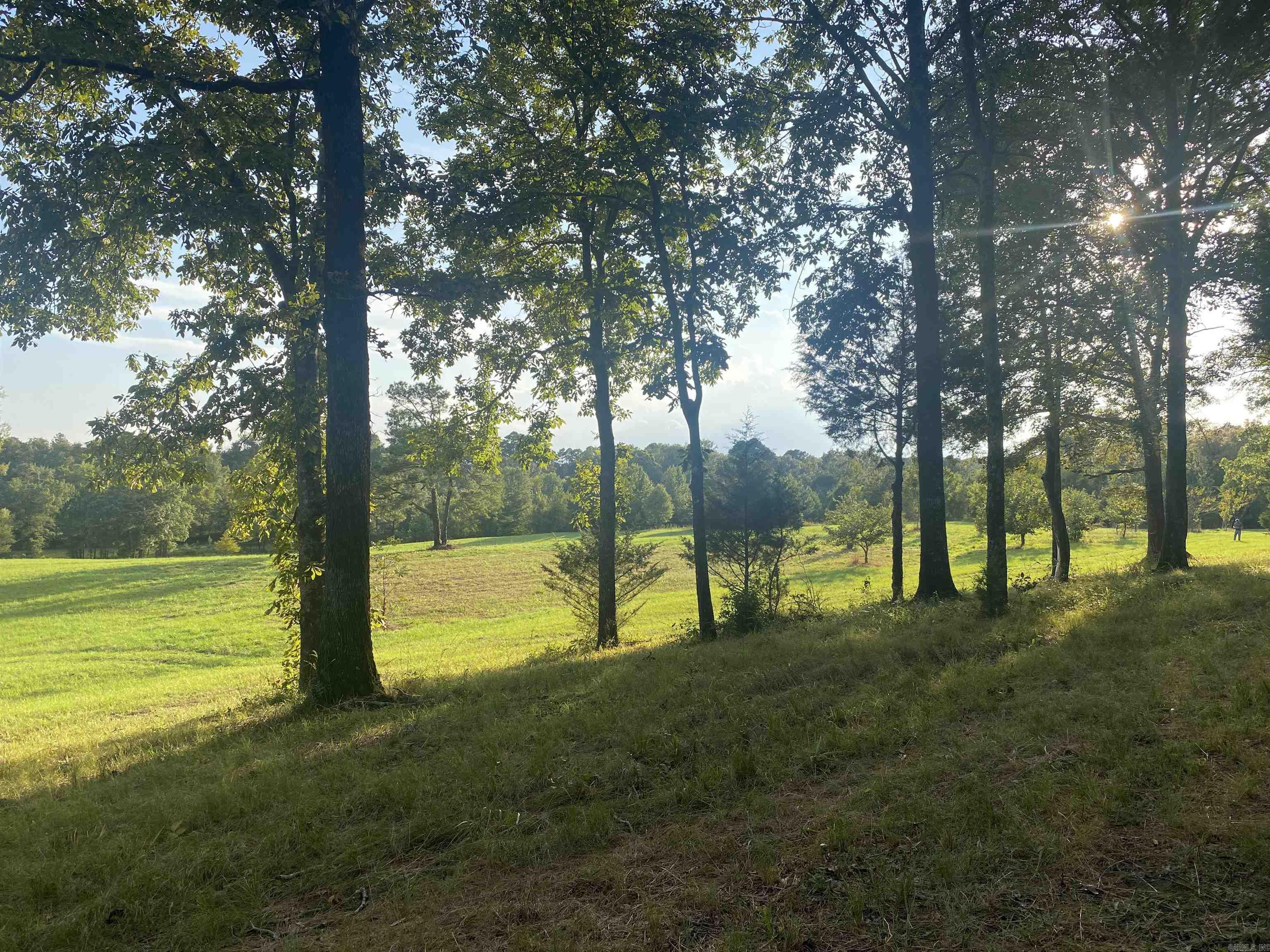 2076 Bob Hall  Donaldson, AR