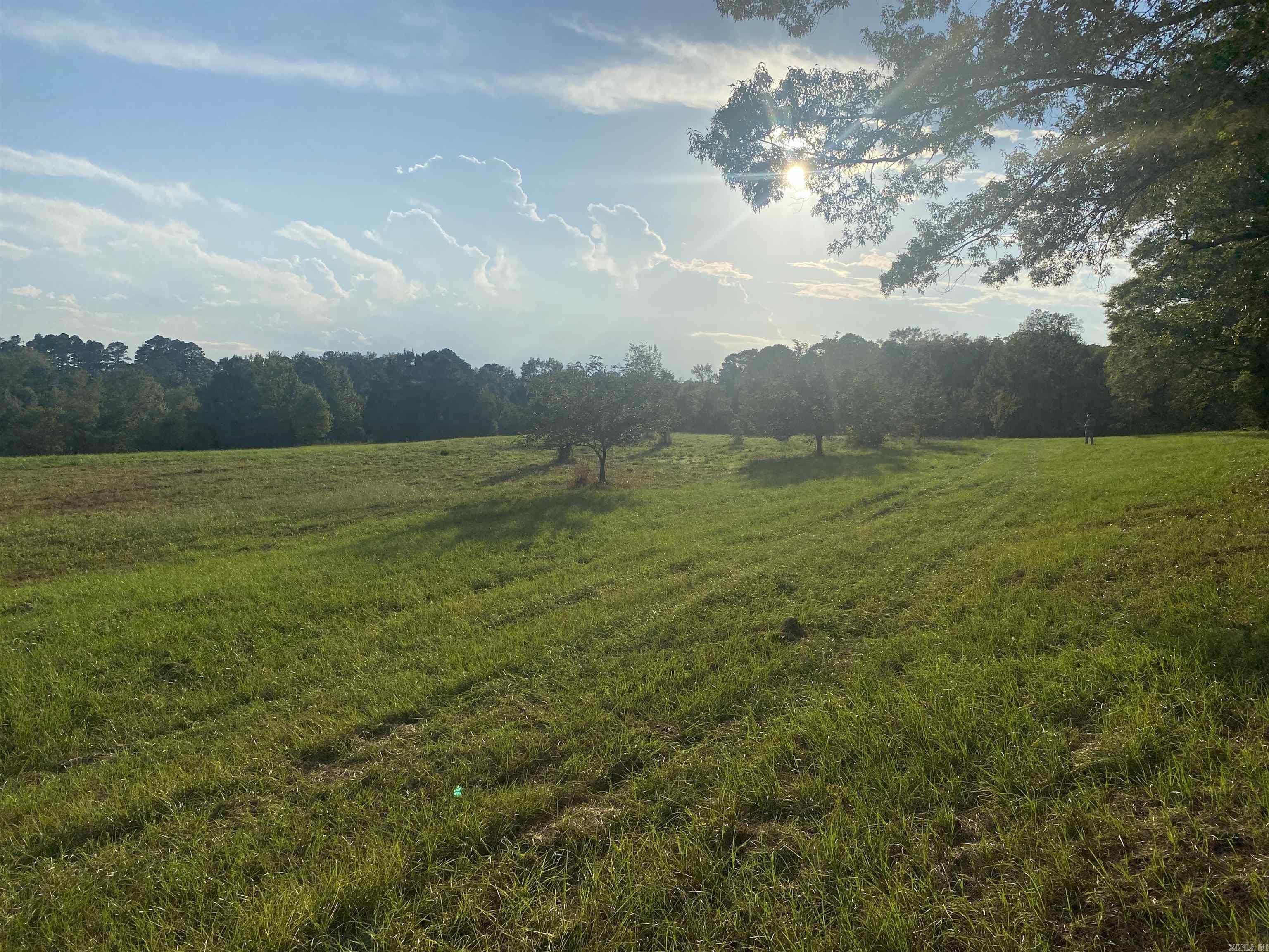 2076 Bob Hall  Donaldson, AR