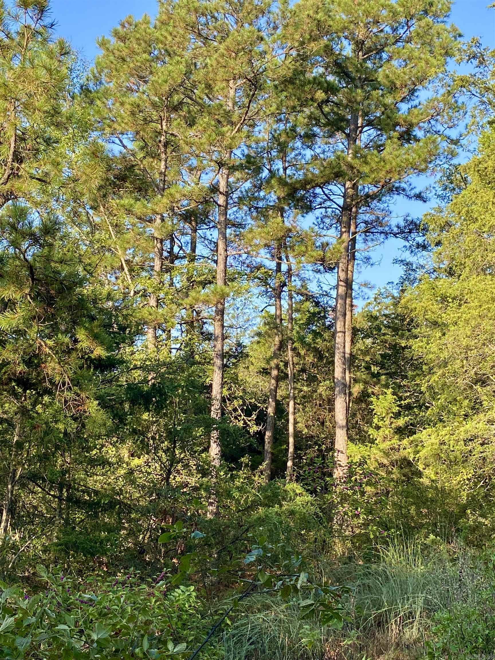 5 Acres Off PR 2772  Lamar, AR
