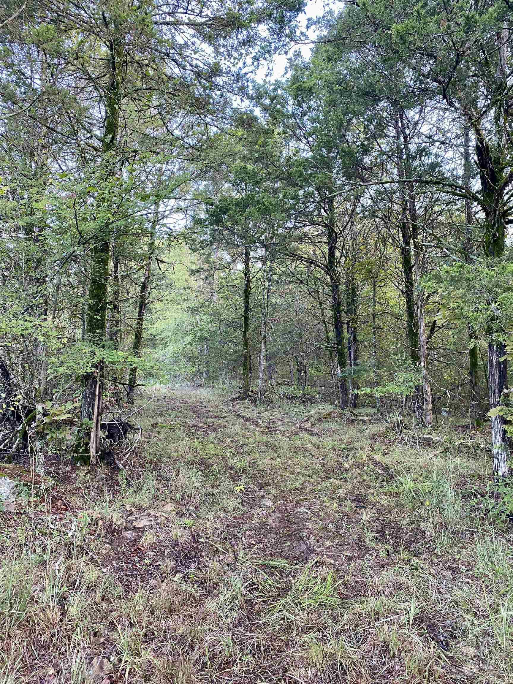 5 Acres Off PR 2772  Lamar, AR