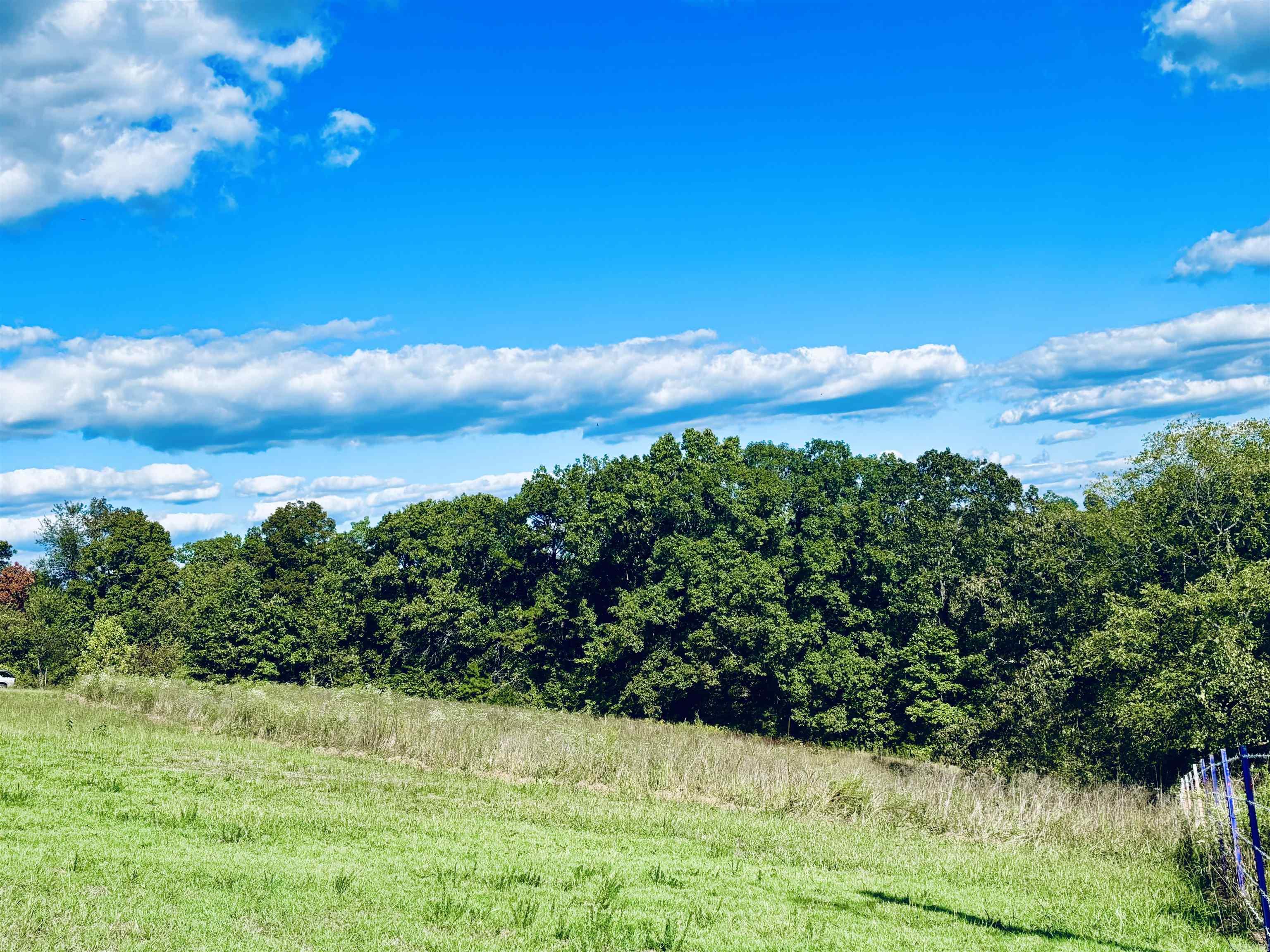1207 Red Bluff  Marshall, AR