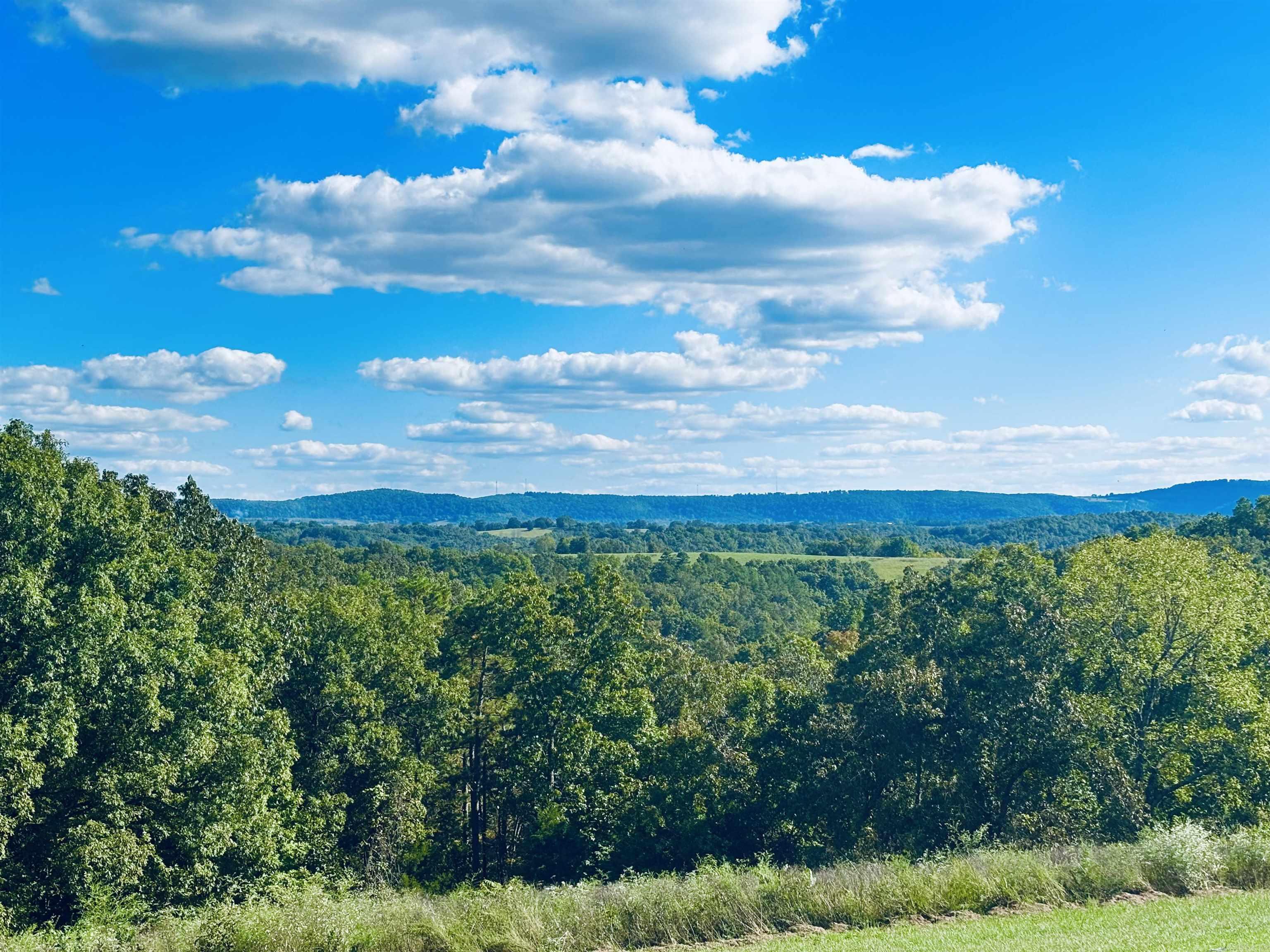 1207 Red Bluff  Marshall, AR