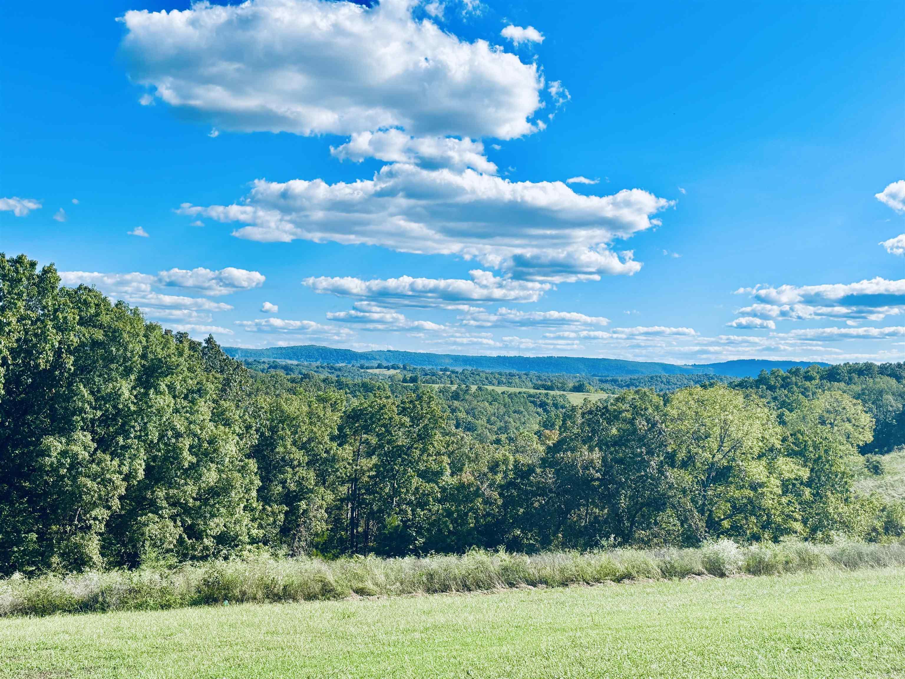 1207 Red Bluff  Marshall, AR
