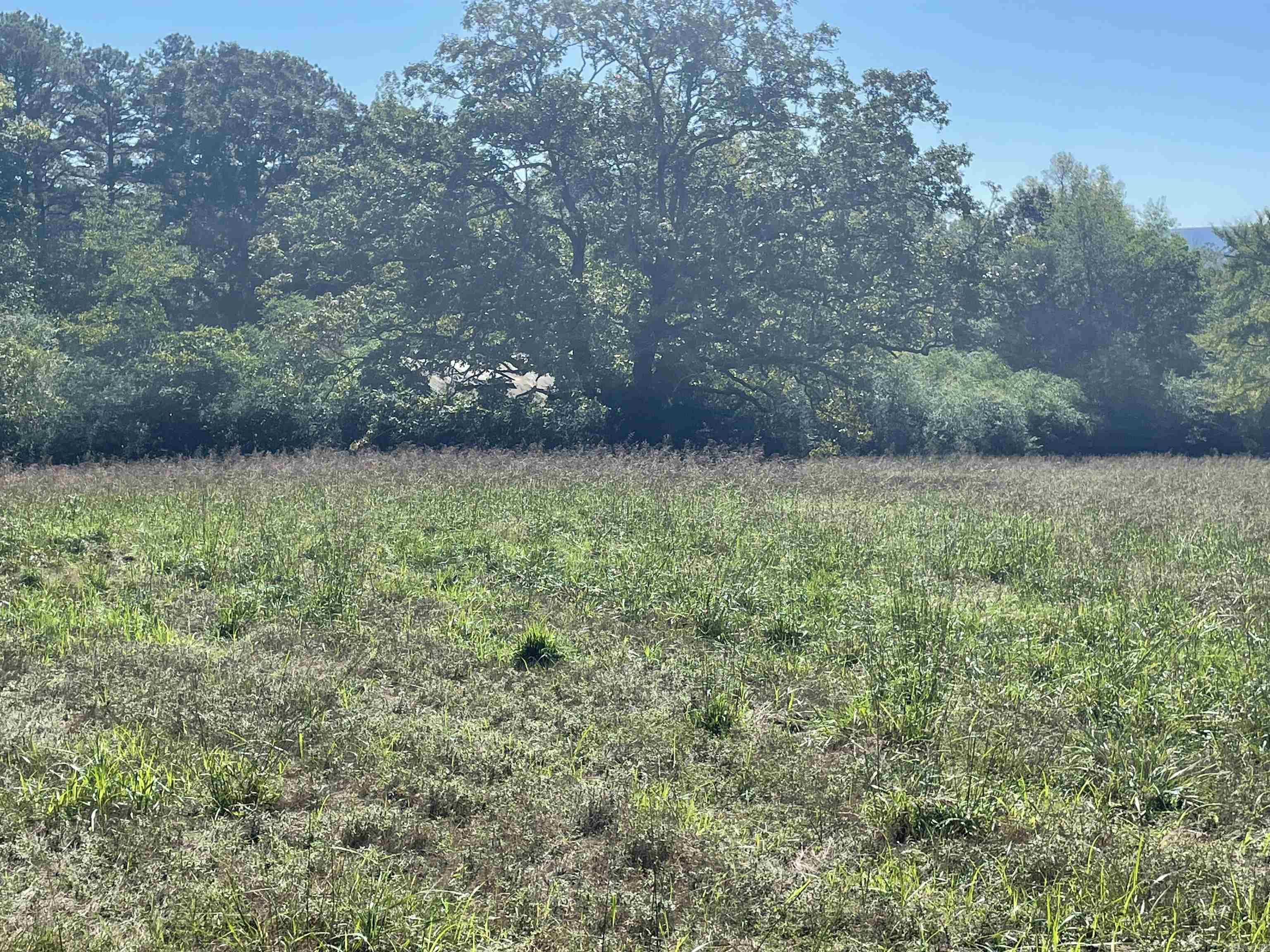 20 Sugarloaf  Heber Springs, AR