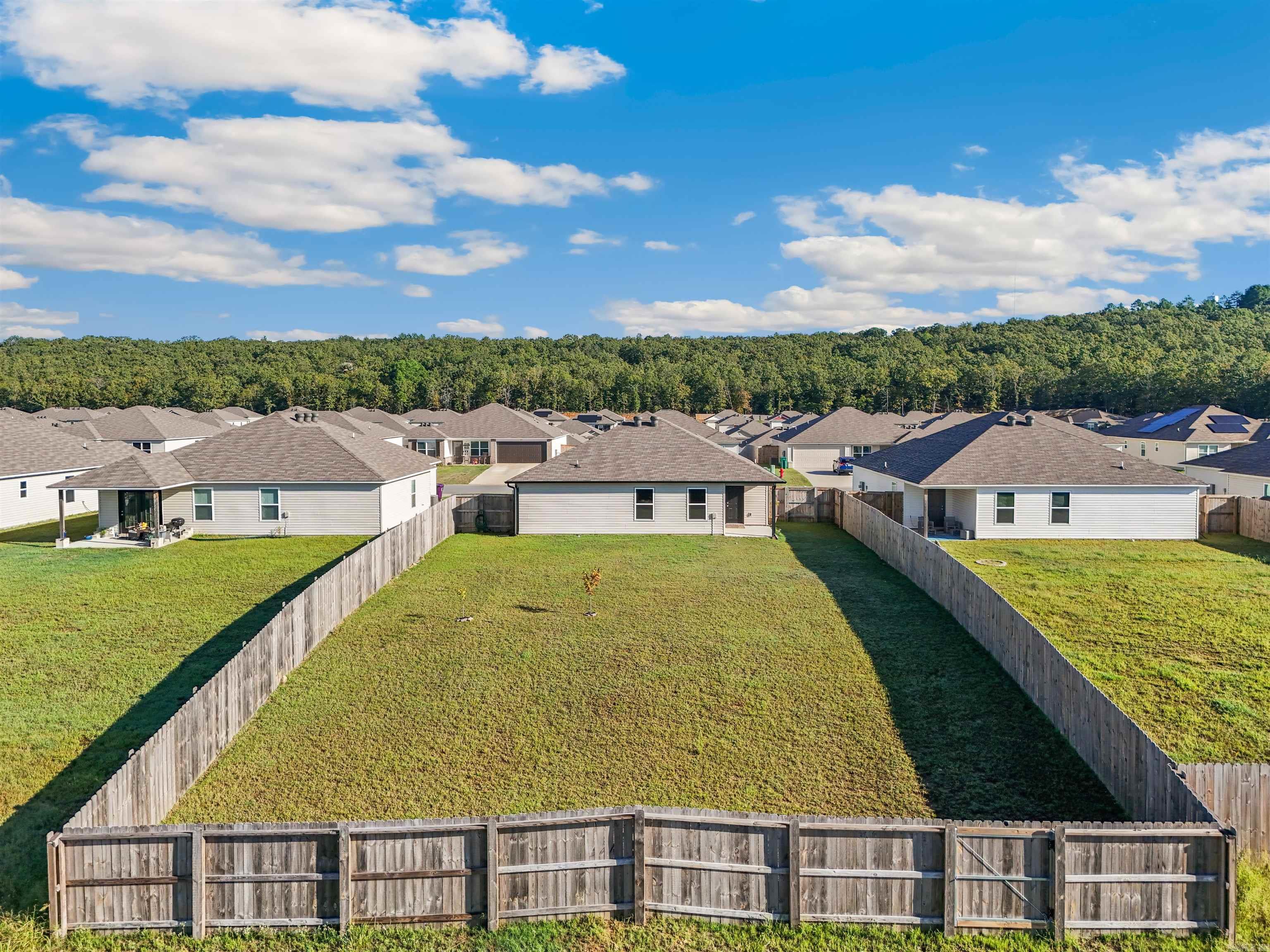 28 Sun Drenched  Conway, AR