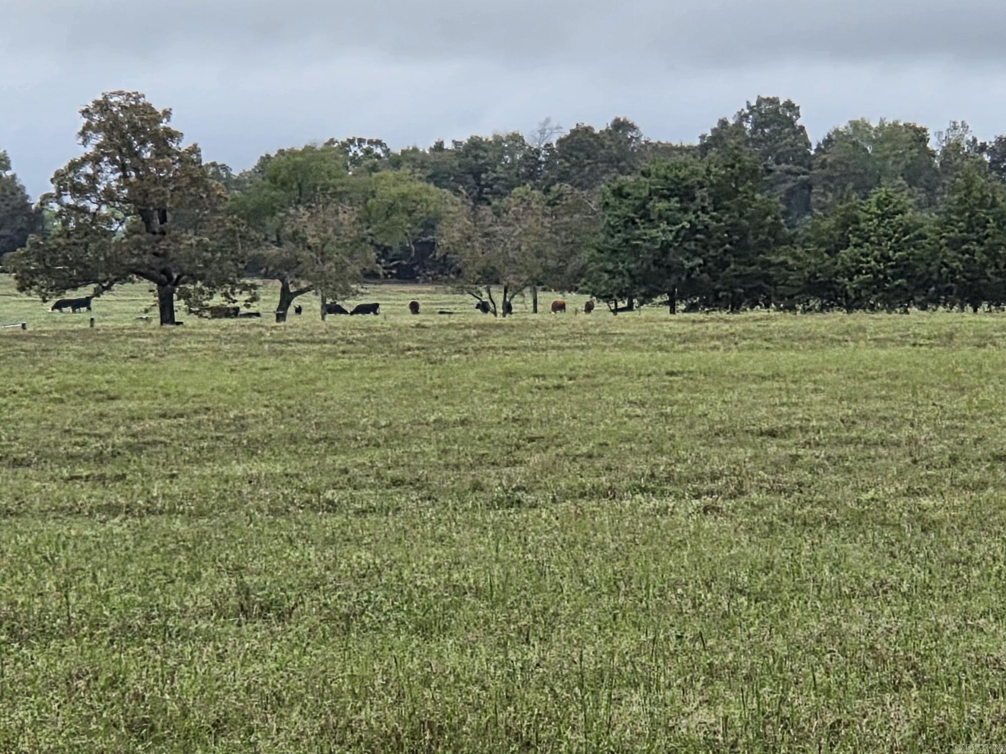 27.24 acres off Durham  Searcy, AR