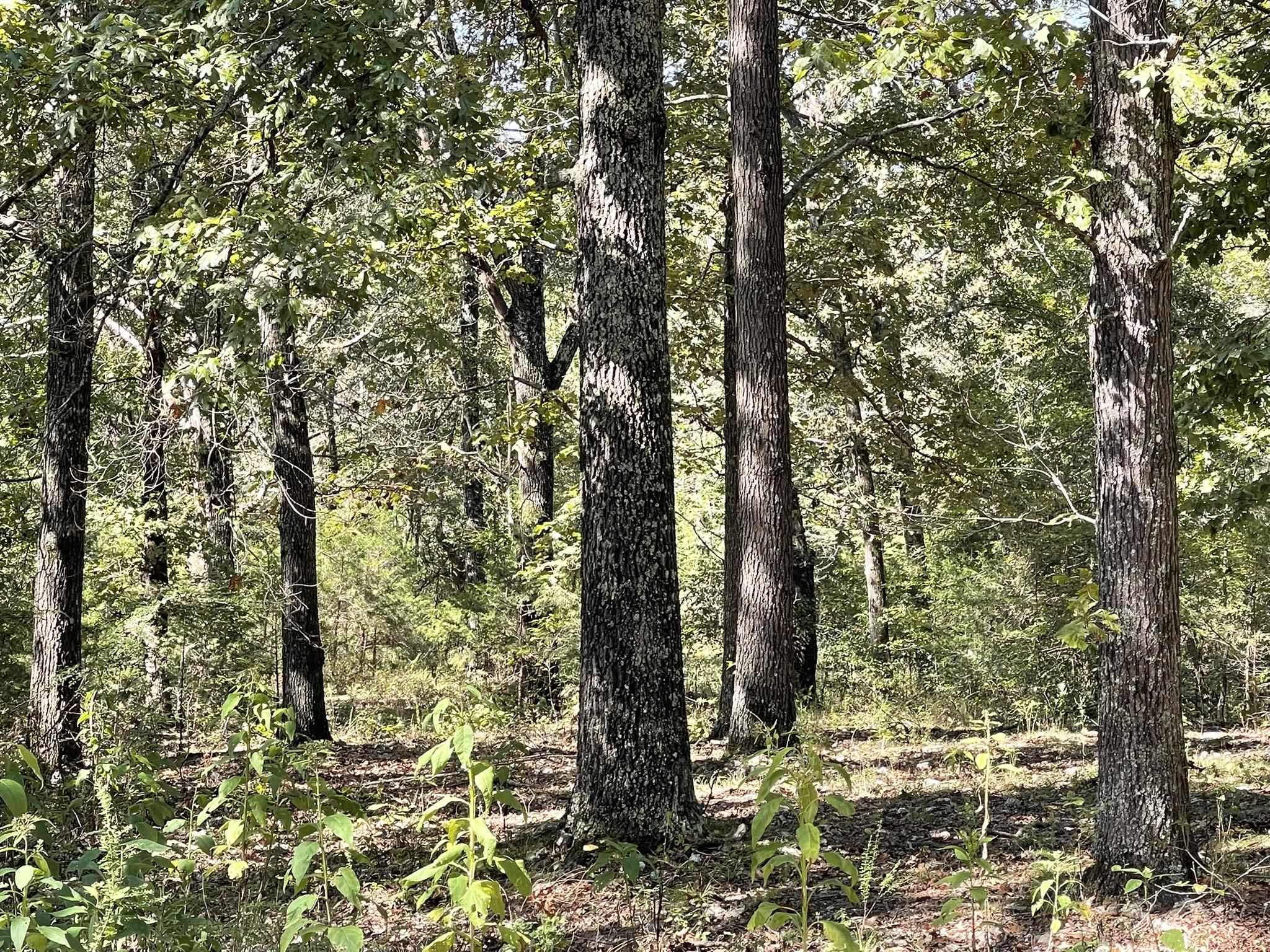 690 N Copperhead  Franklin, AR