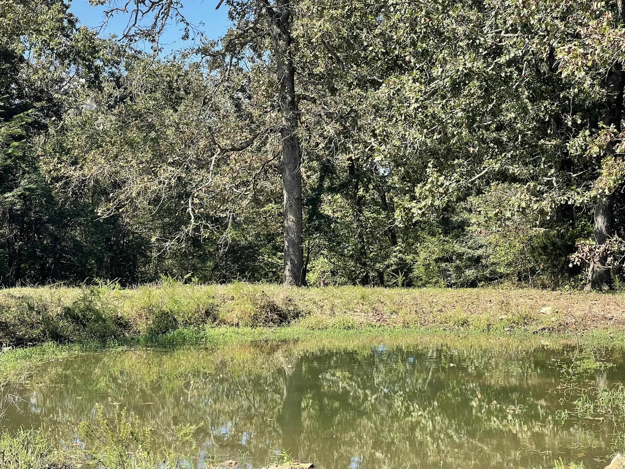 690 N Copperhead  Franklin, AR