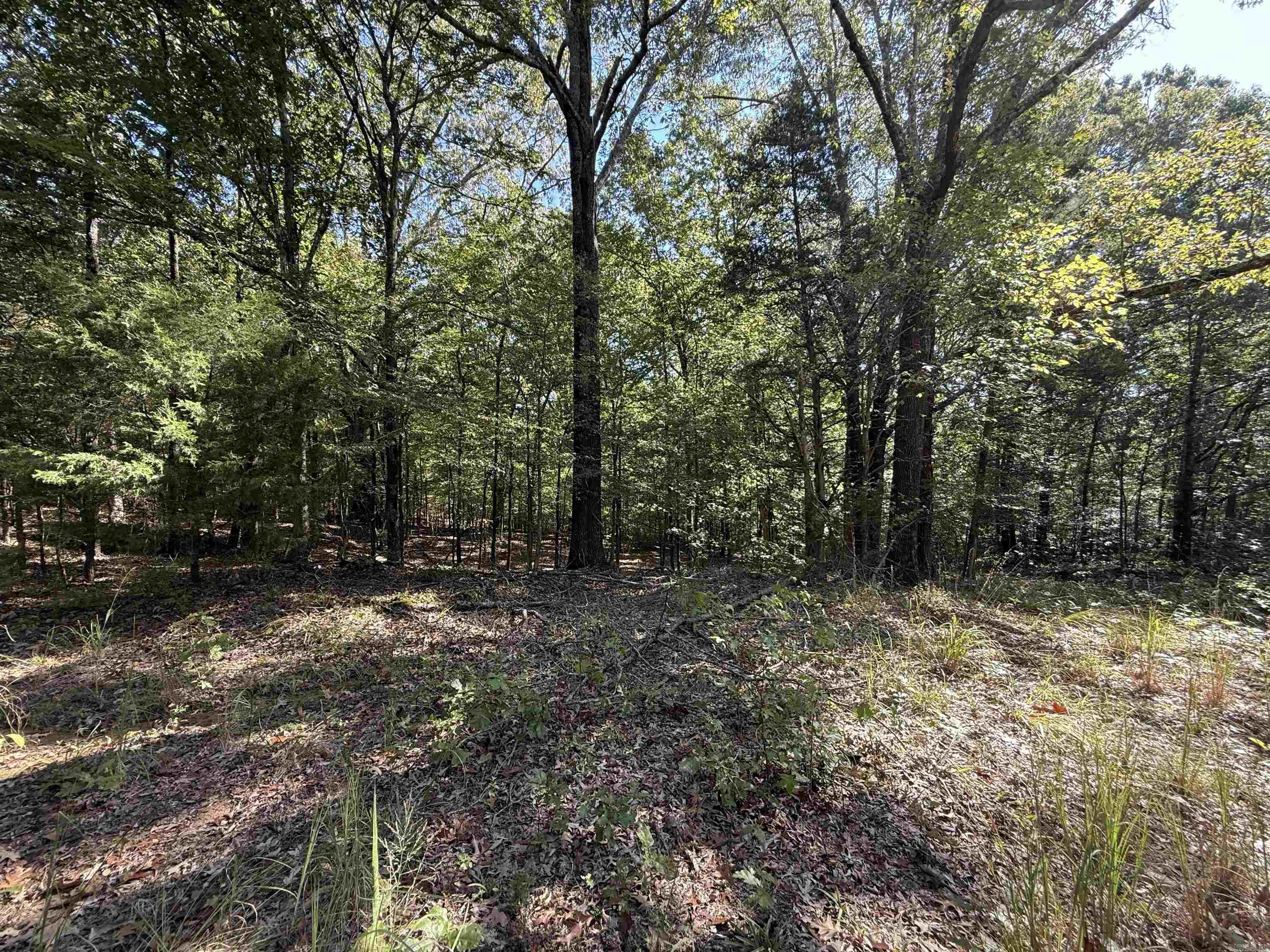  Sfc 342  Forrest City, AR