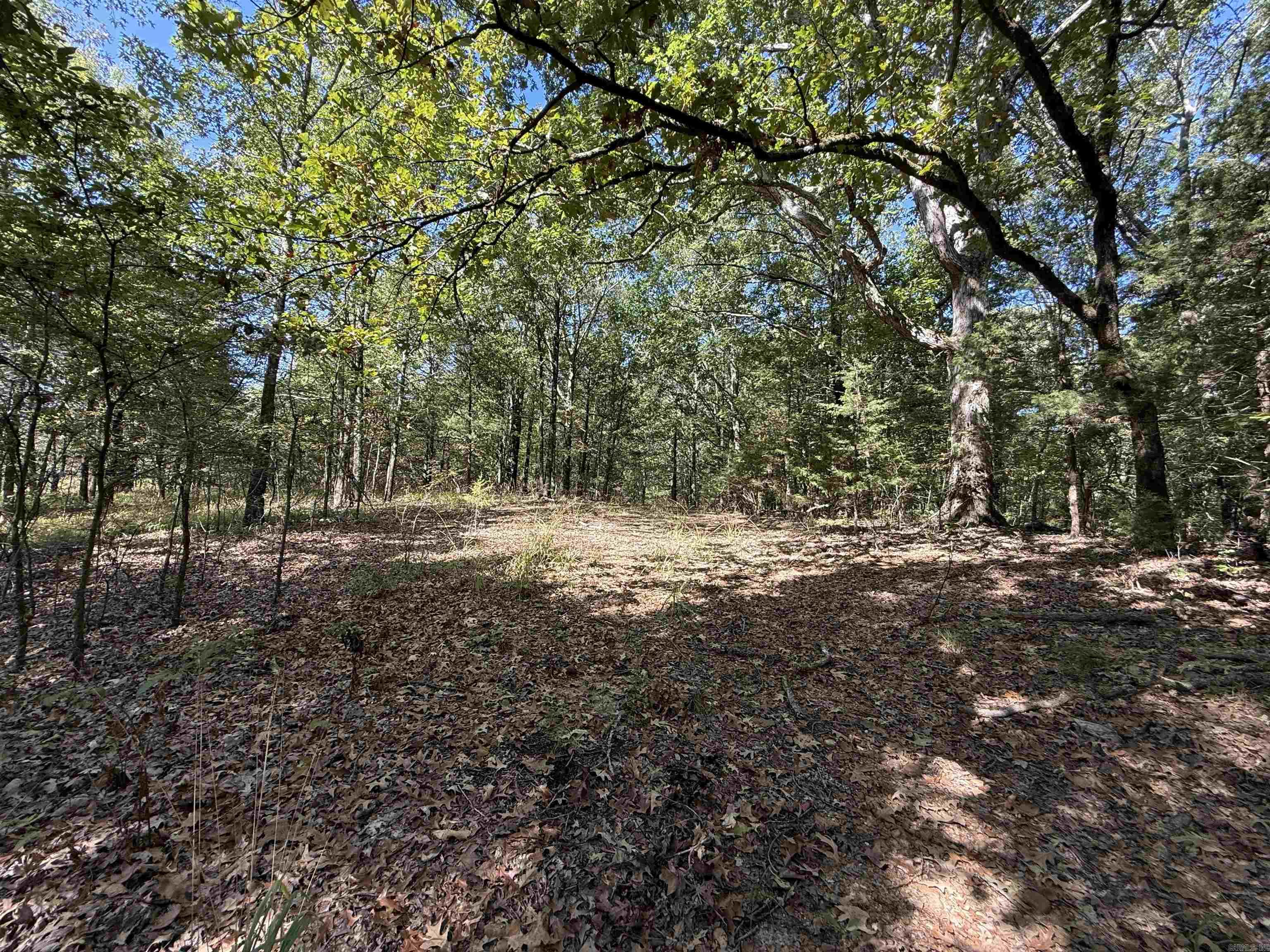  Sfc 342  Forrest City, AR