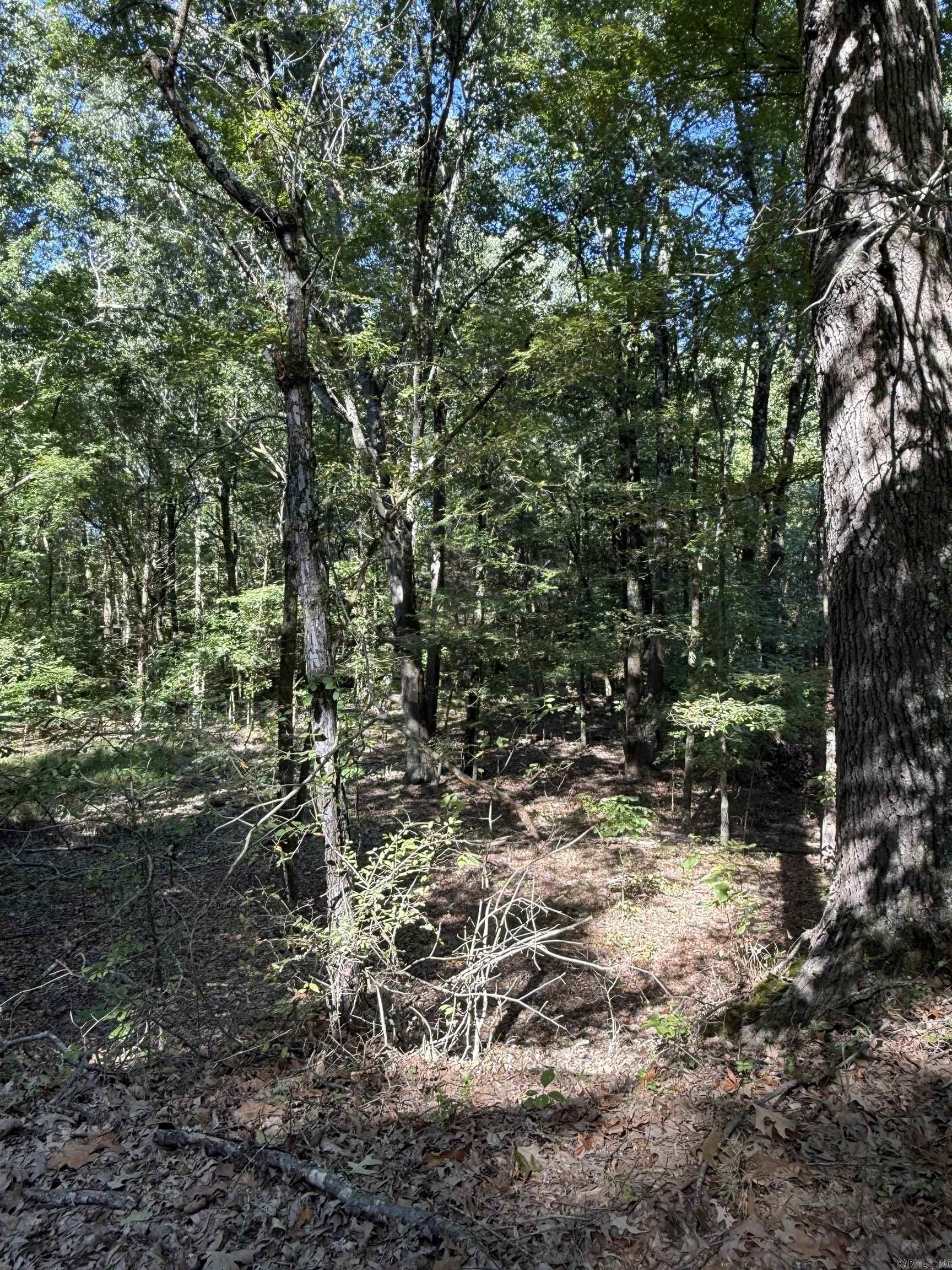  Sfc 342  Forrest City, AR