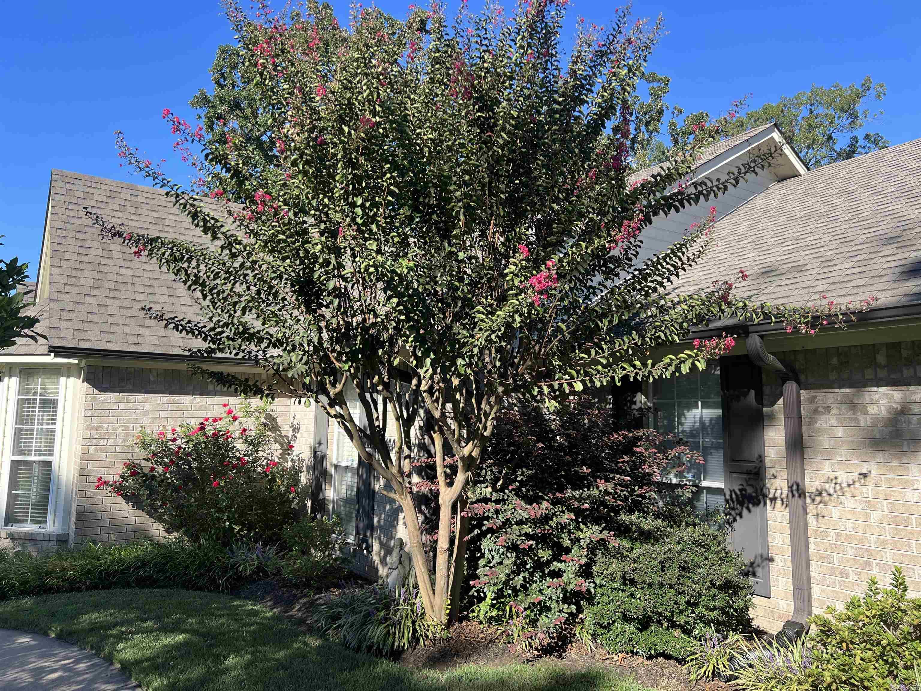 319 Edwards  Pine Bluff, AR