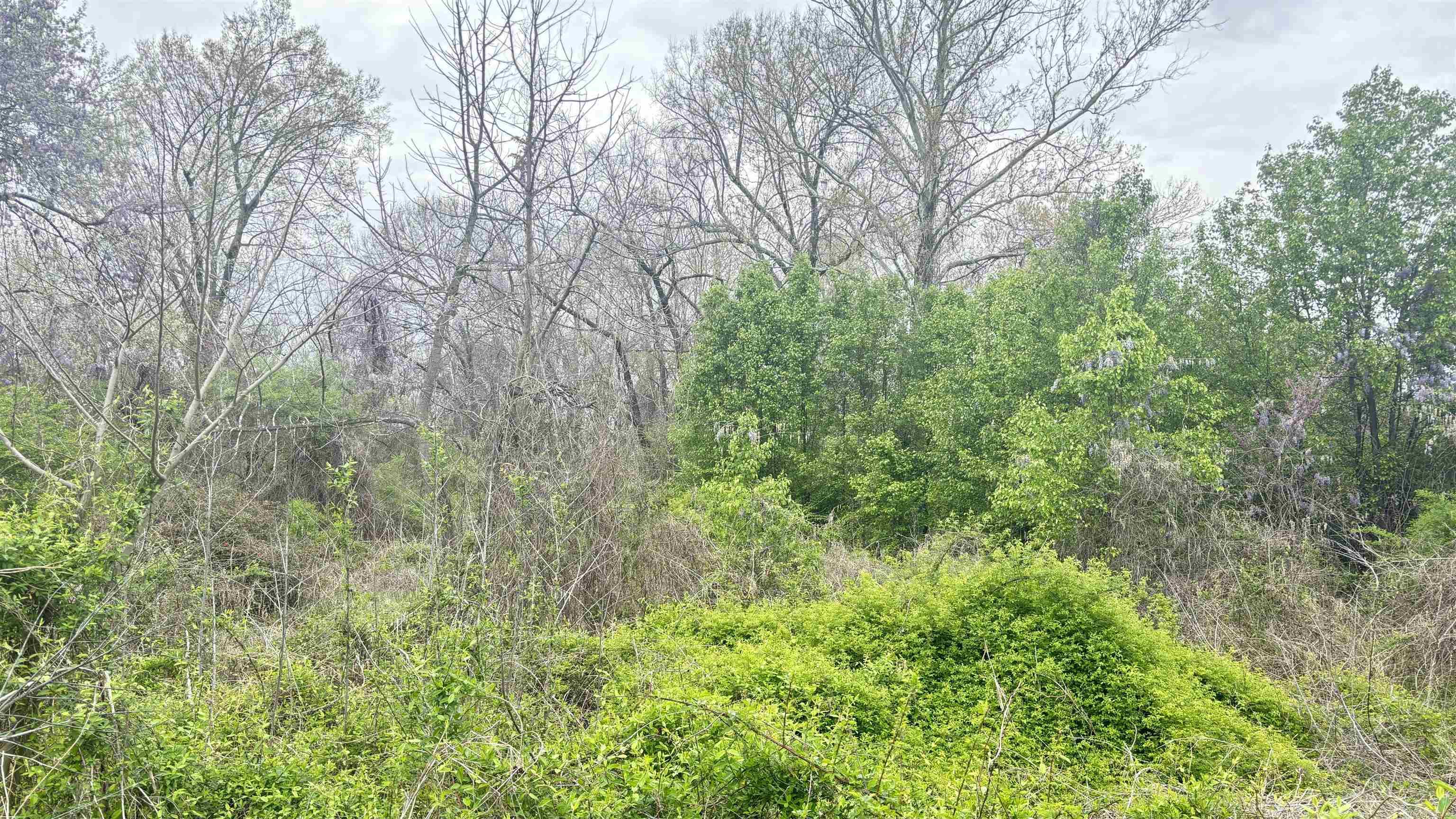 TBD E 33rd  Little Rock, AR