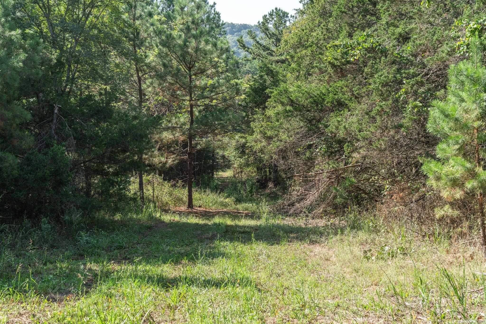 3024 Red Bench Rd  Paris, AR