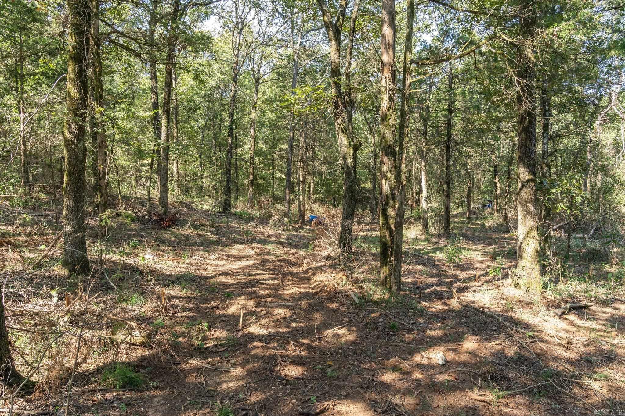 3024 Red Bench Rd  Paris, AR