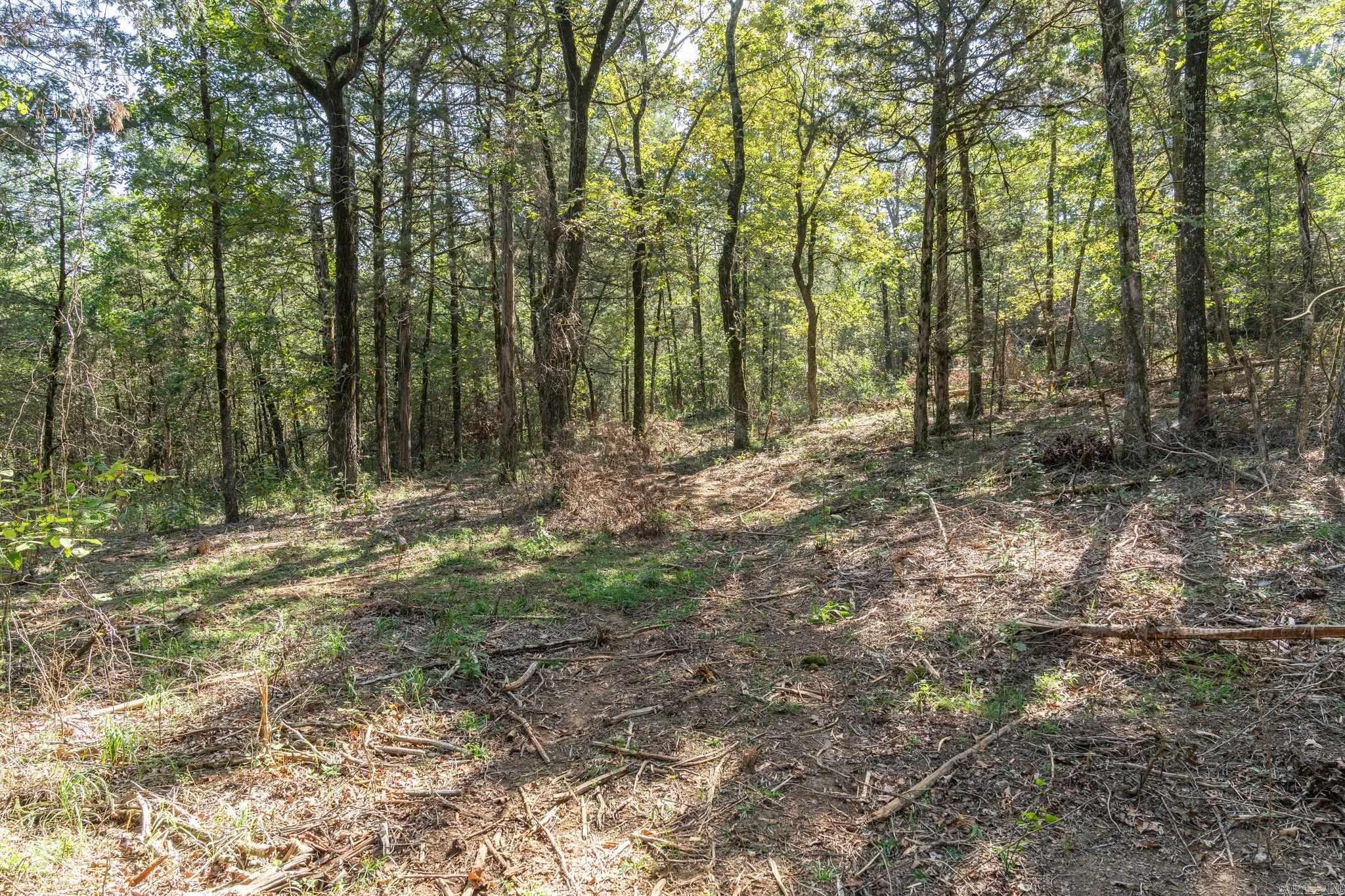 3024 Red Bench Rd  Paris, AR