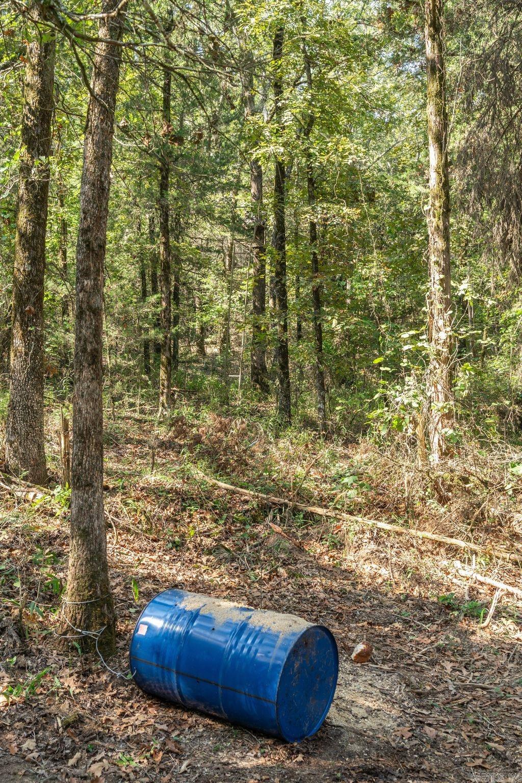 3024 Red Bench Rd  Paris, AR