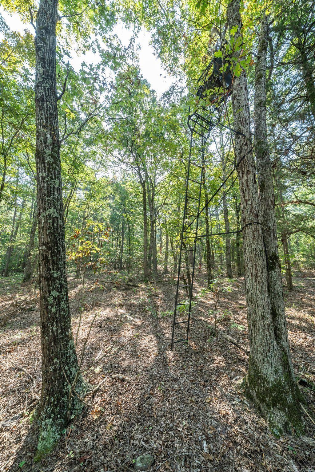 3024 Red Bench Rd  Paris, AR