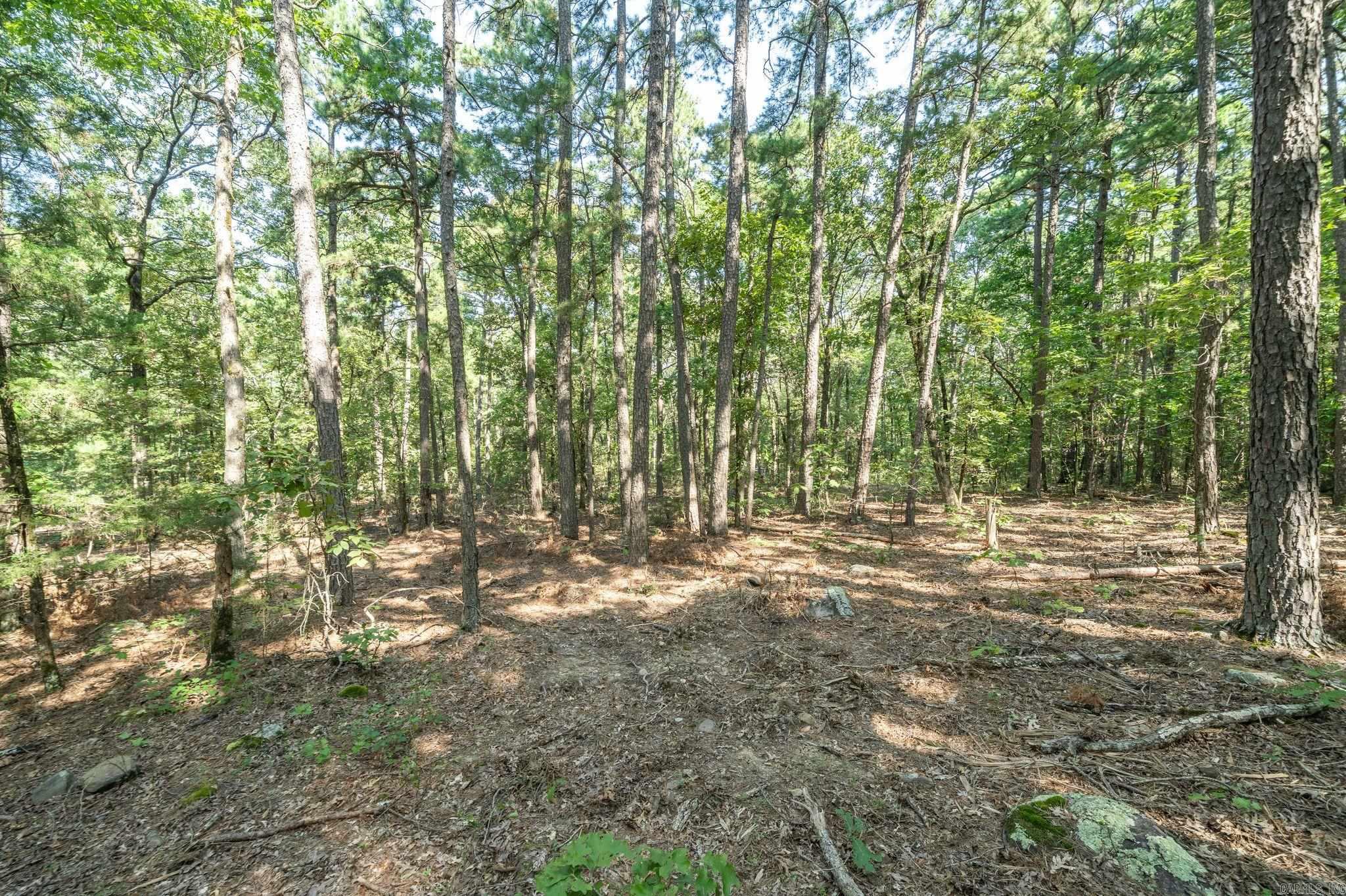 3024 Red Bench Rd  Paris, AR