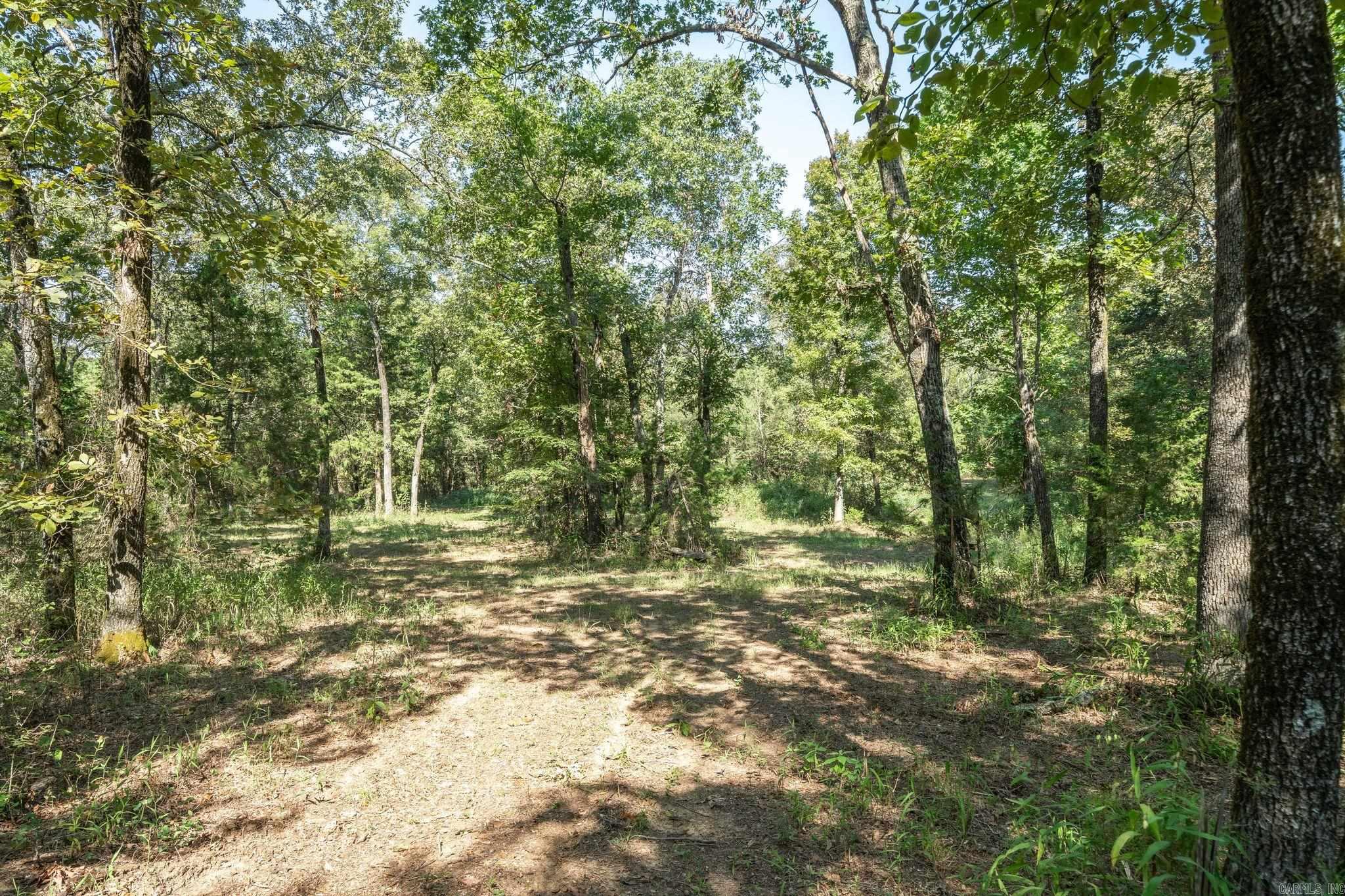 3024 Red Bench Rd  Paris, AR