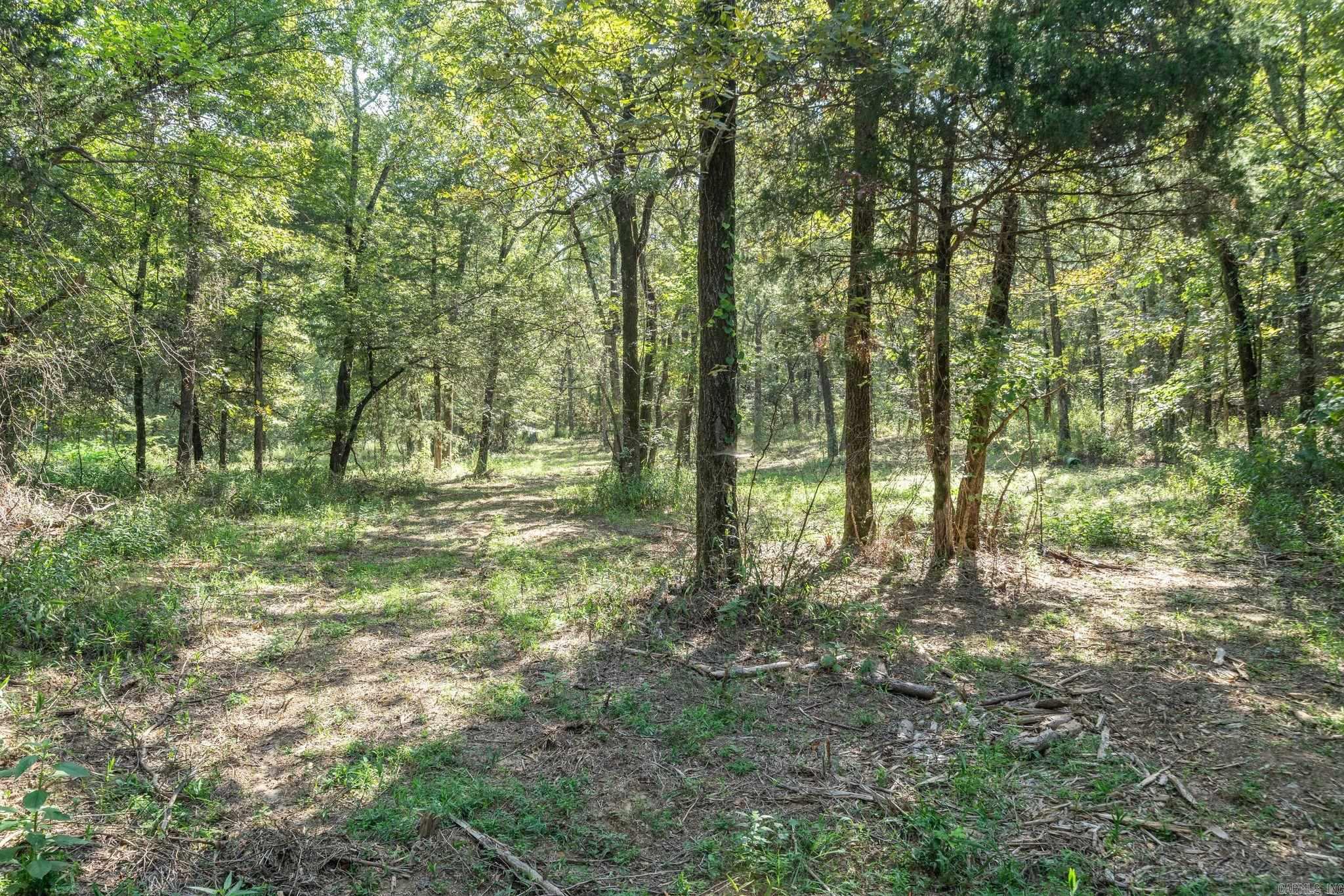 3024 Red Bench Rd  Paris, AR