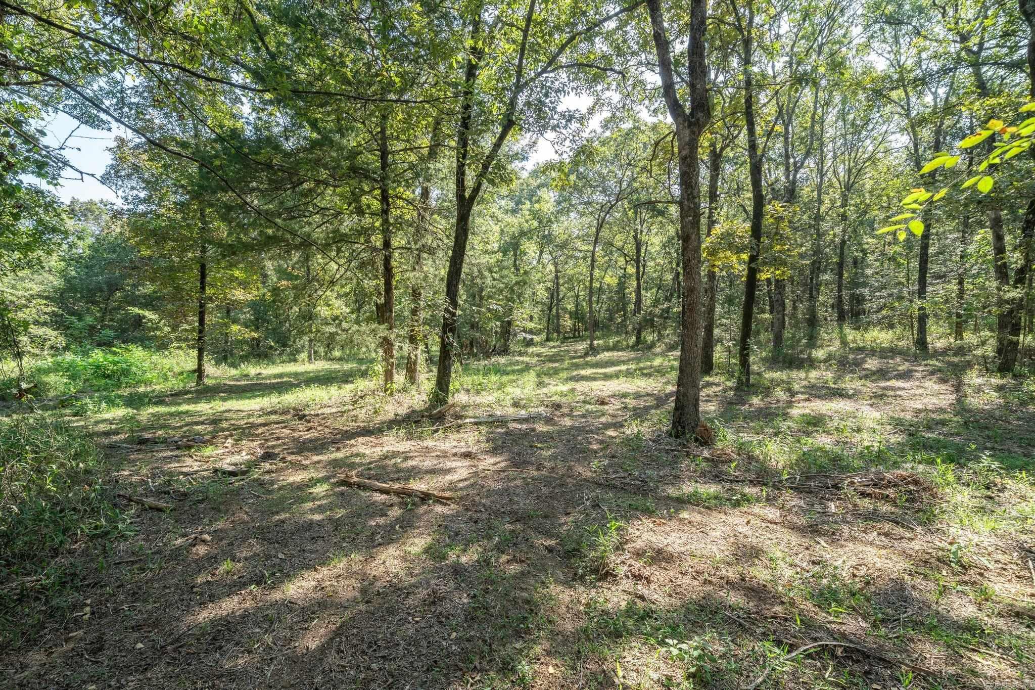 3024 Red Bench Rd  Paris, AR