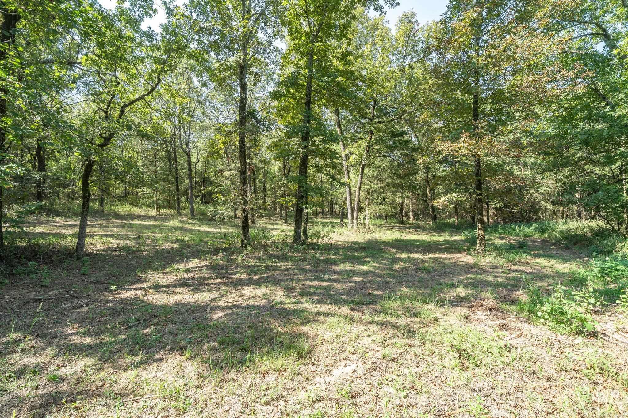 3024 Red Bench Rd  Paris, AR