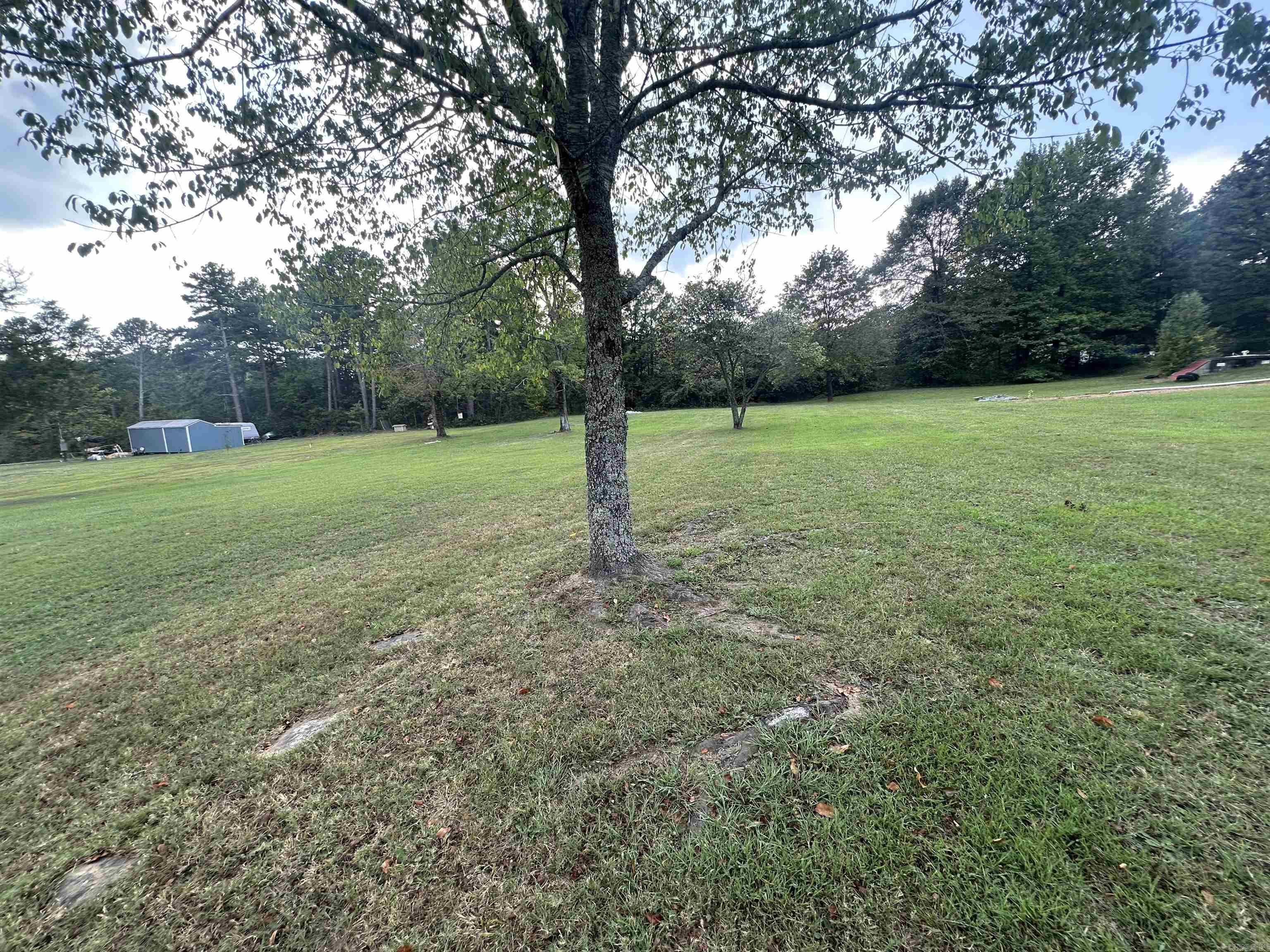 27 Prince  Heber Springs, AR