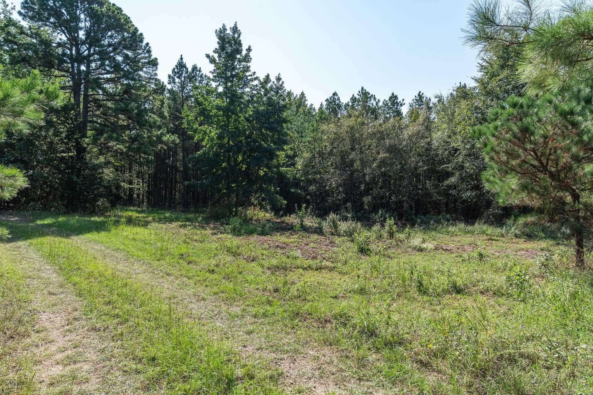 3024 Red Bench Rd  Paris, AR