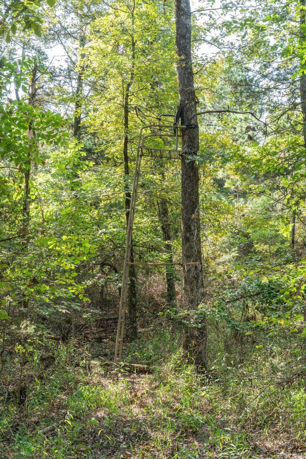 3024 Red Bench Rd  Paris, AR