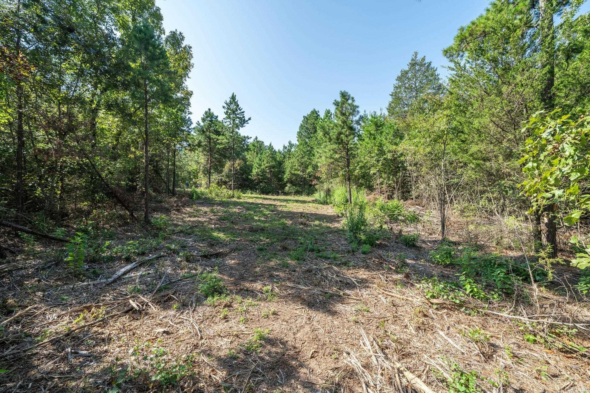 3024 Red Bench Rd  Paris, AR