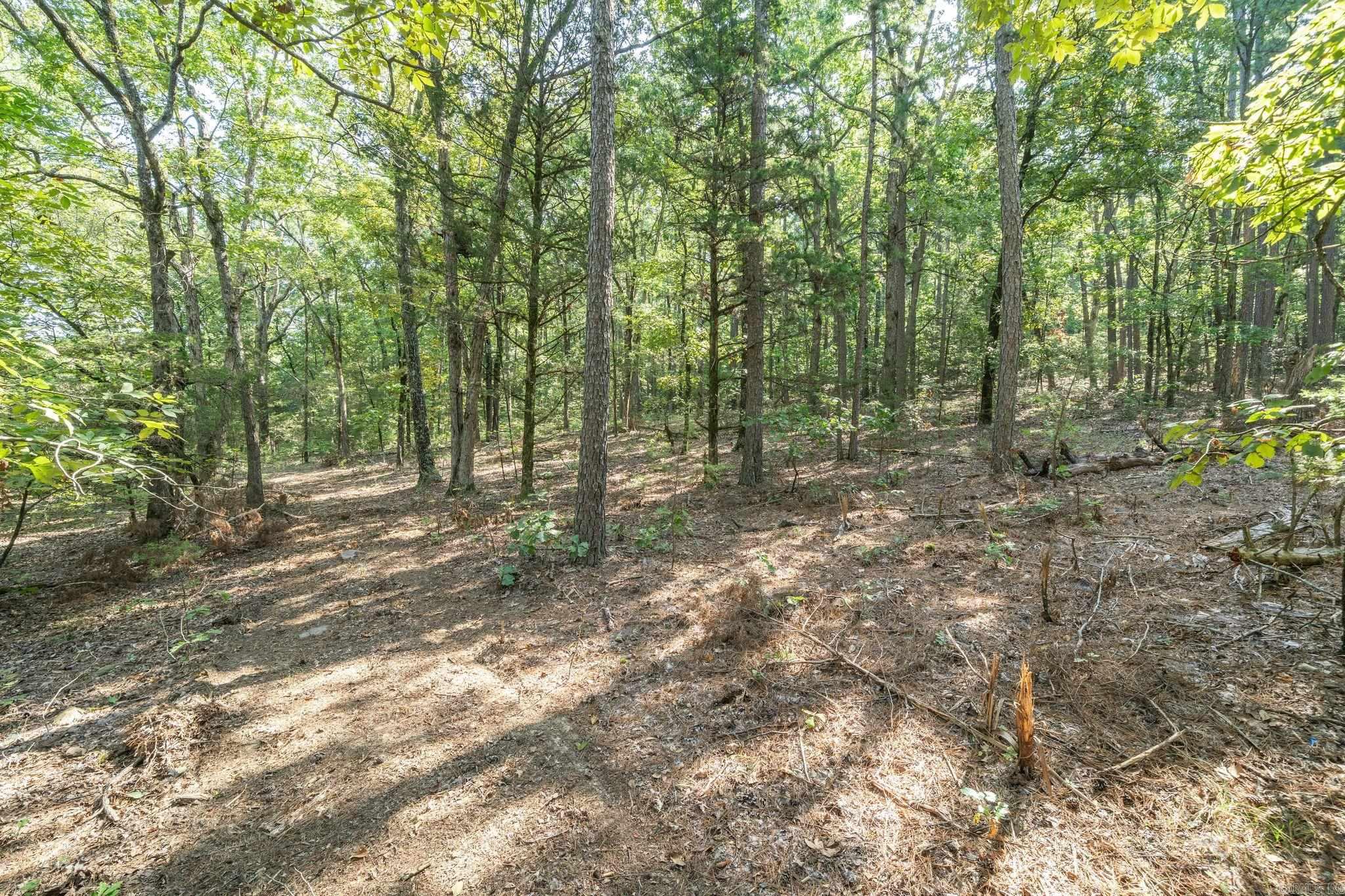 3024 Red Bench Rd  Paris, AR