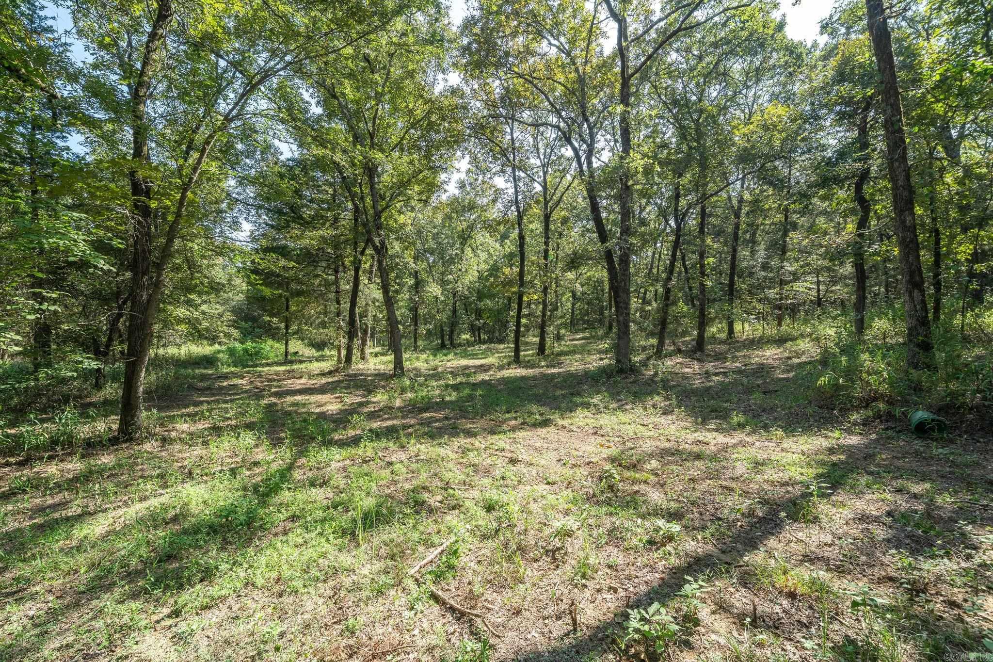 3024 Red Bench Rd  Paris, AR