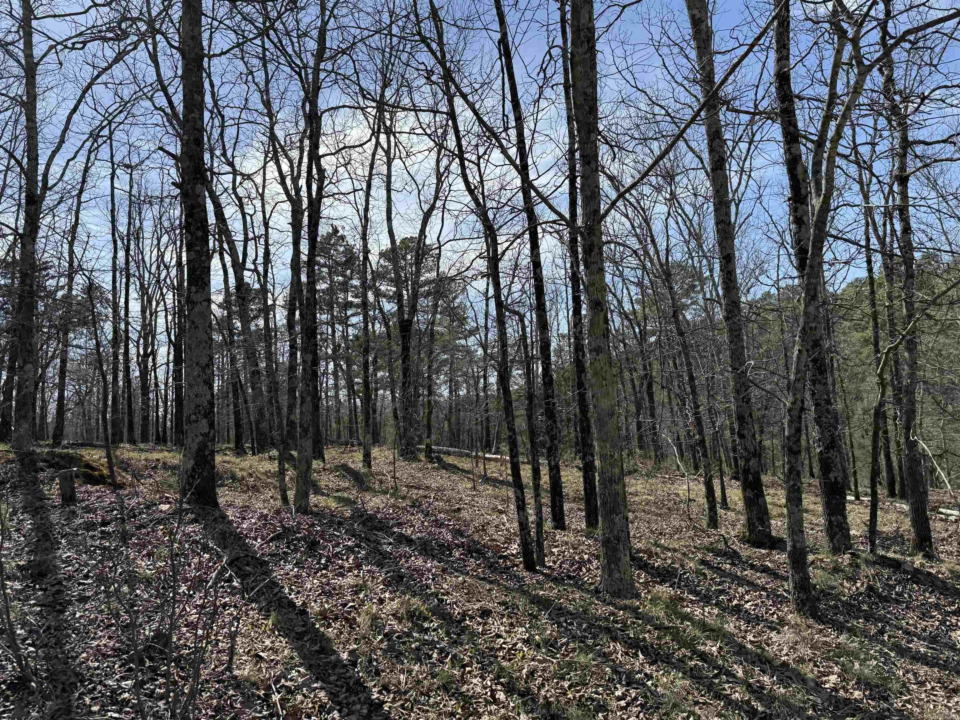 TBD Sangster  Hot Springs, AR